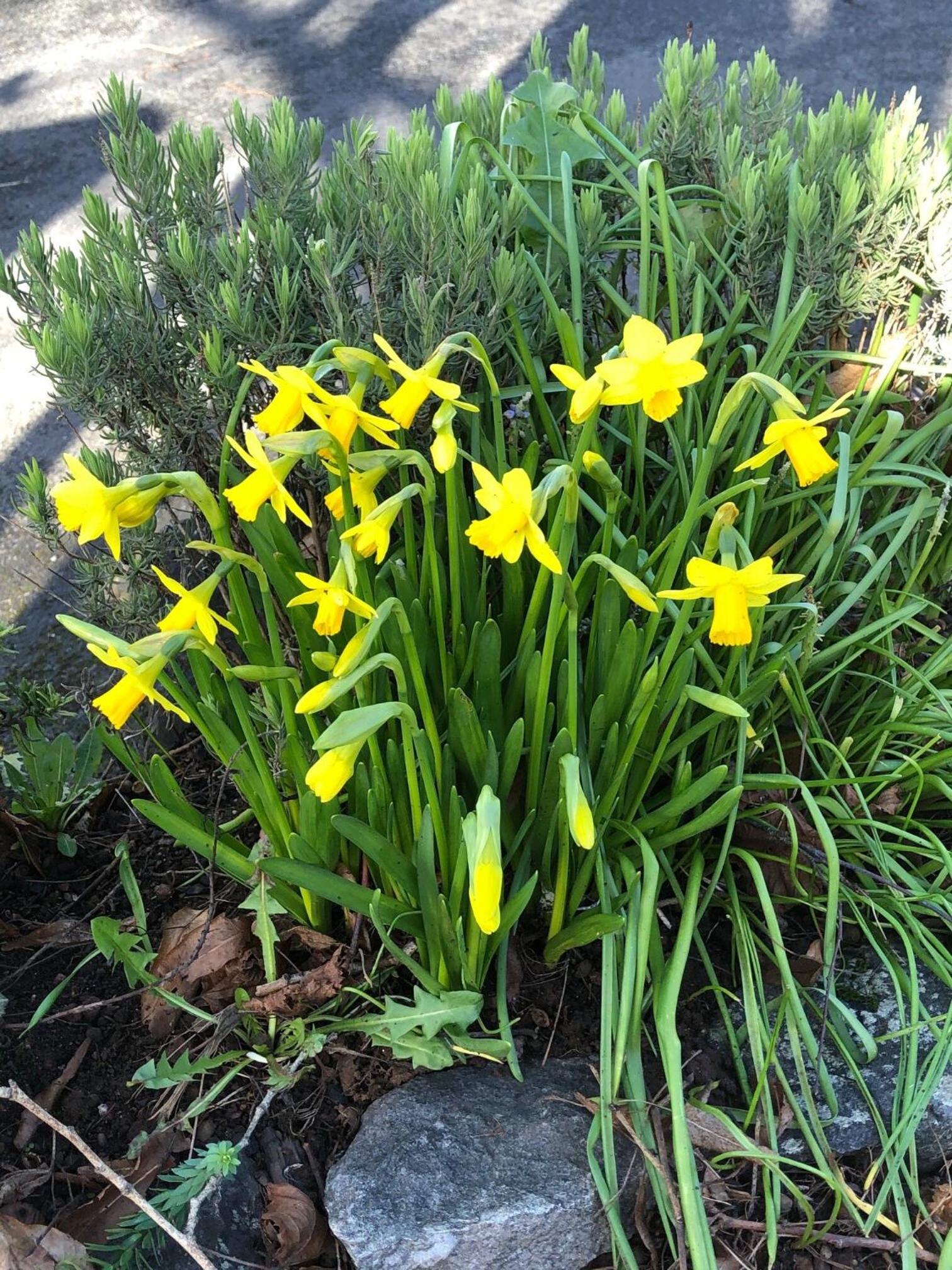 Photo 23