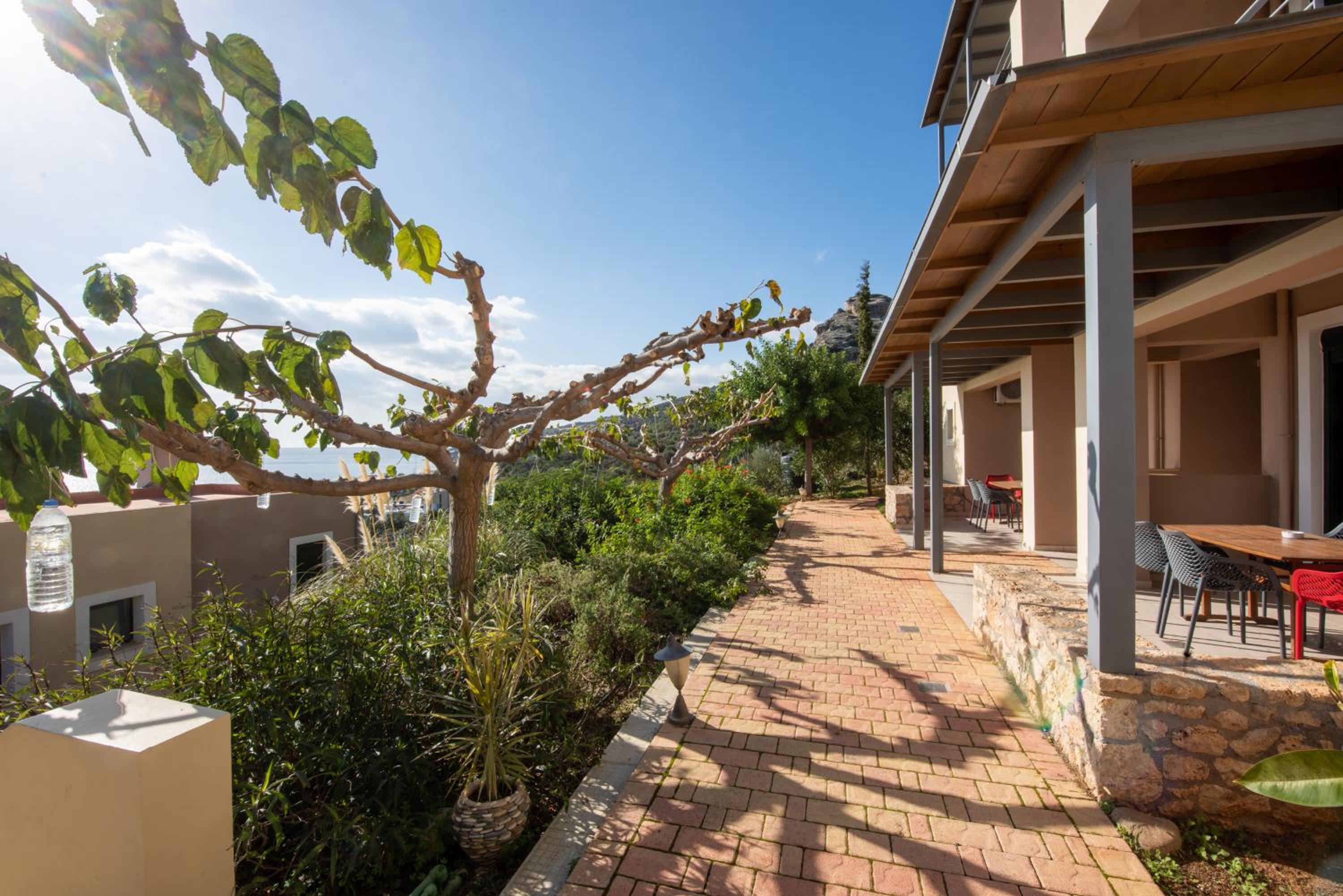 Photo 80
