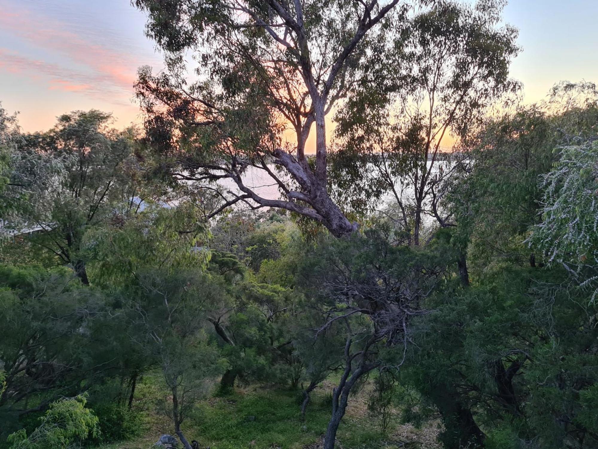 Nature Lovers Dream in Dawesville