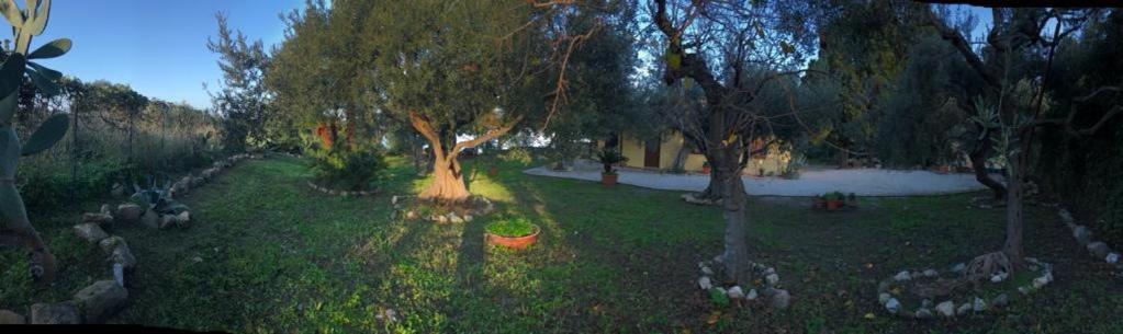 L'Ulivo in Villa Greco view 5