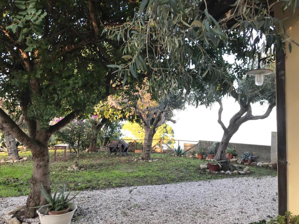 L'Ulivo in Villa Greco view 4