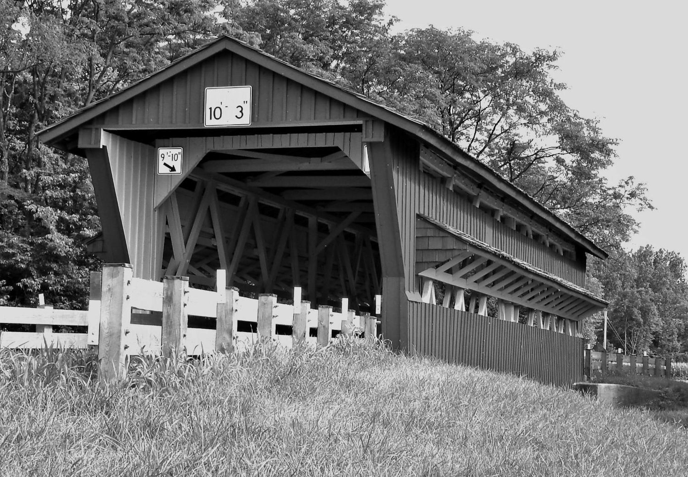 Photo 42