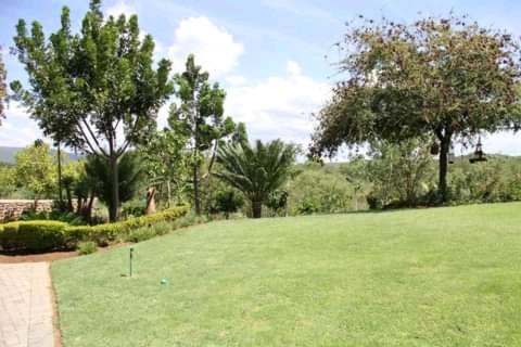 Photo 46
