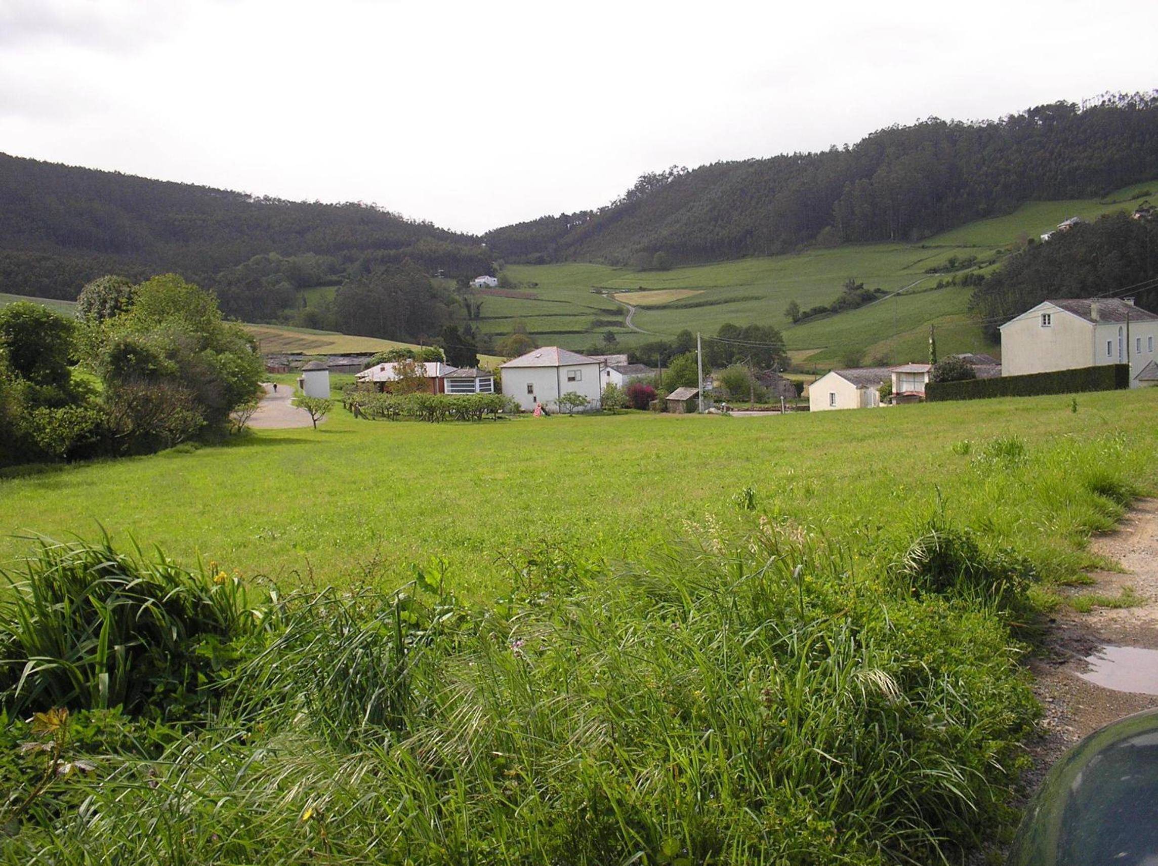 Photo 49