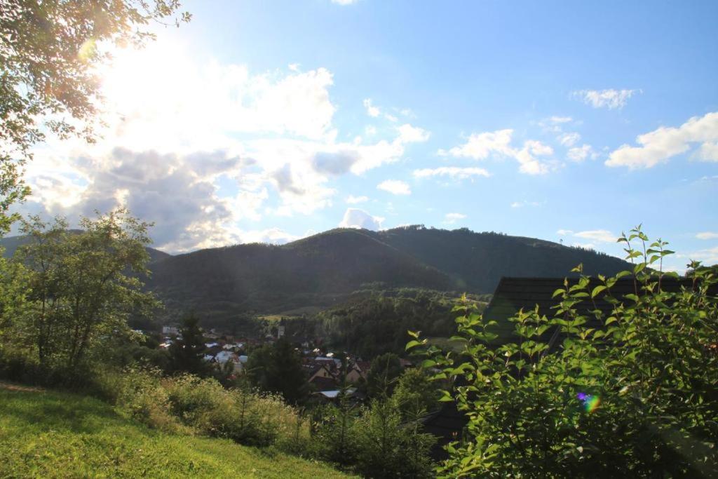 Drevenica Desina
