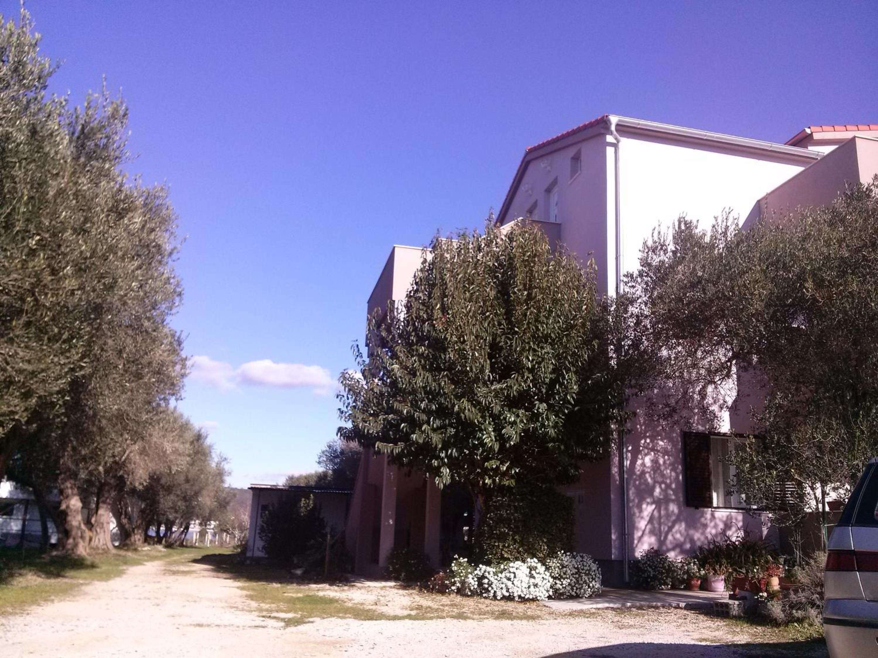 Apartments Maslina