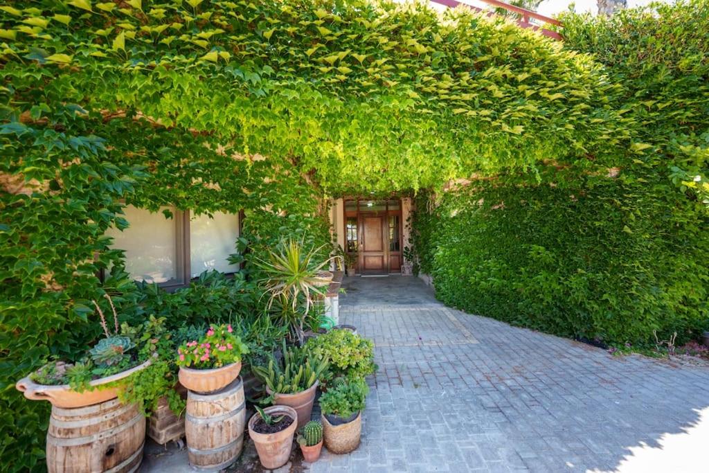 Four seasons!