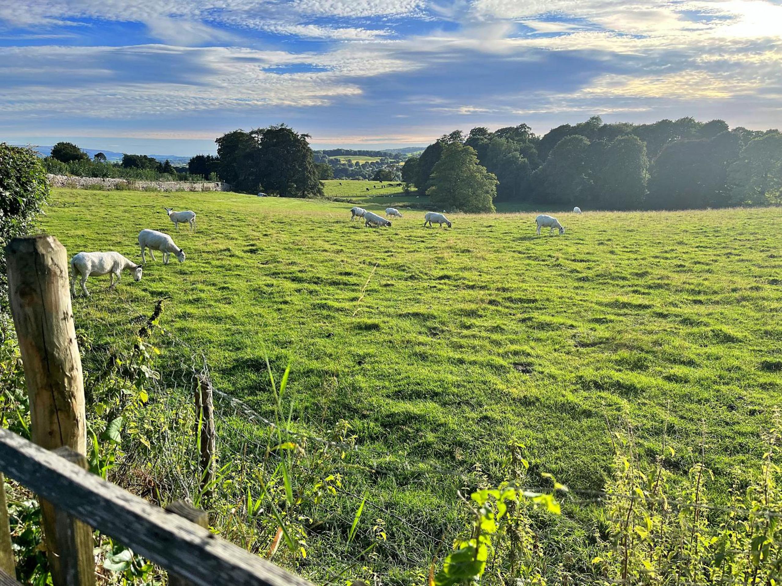 Finest Retreats - Ivy Cottage view 5
