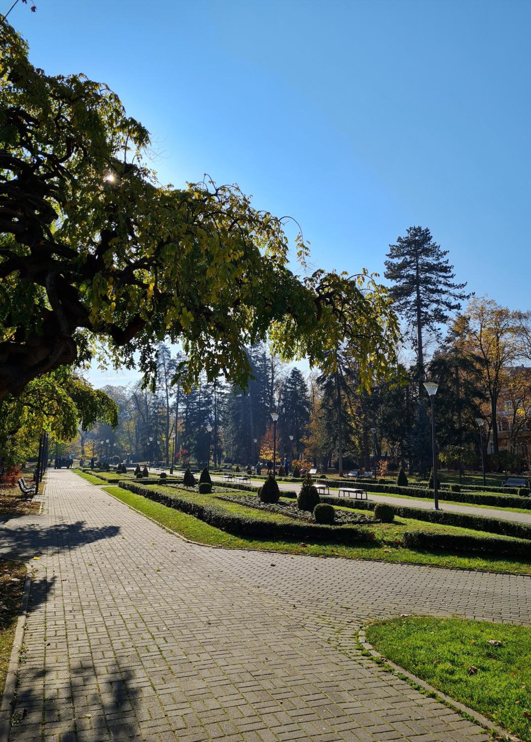Photo 12