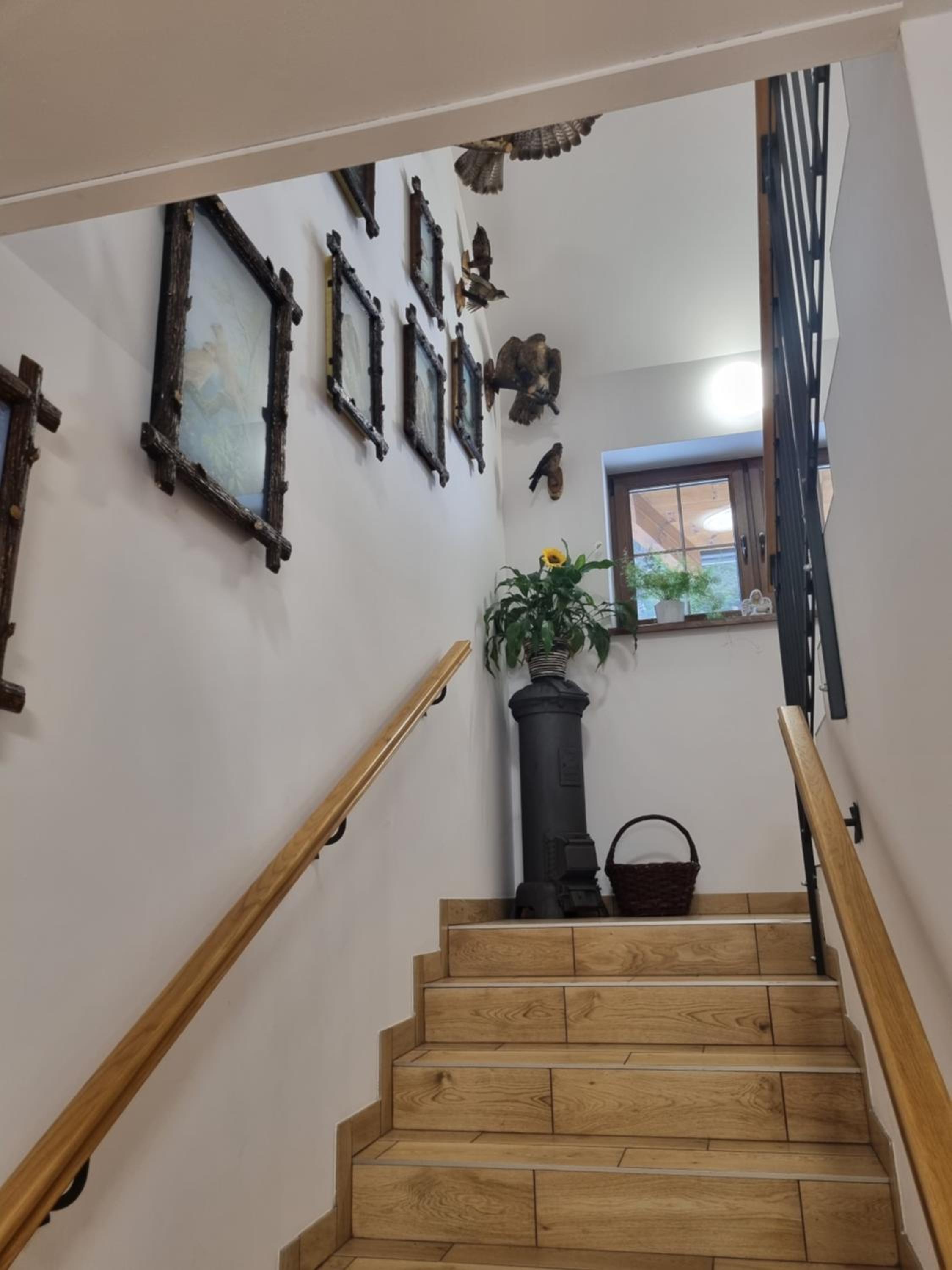 Apartmány u Petra