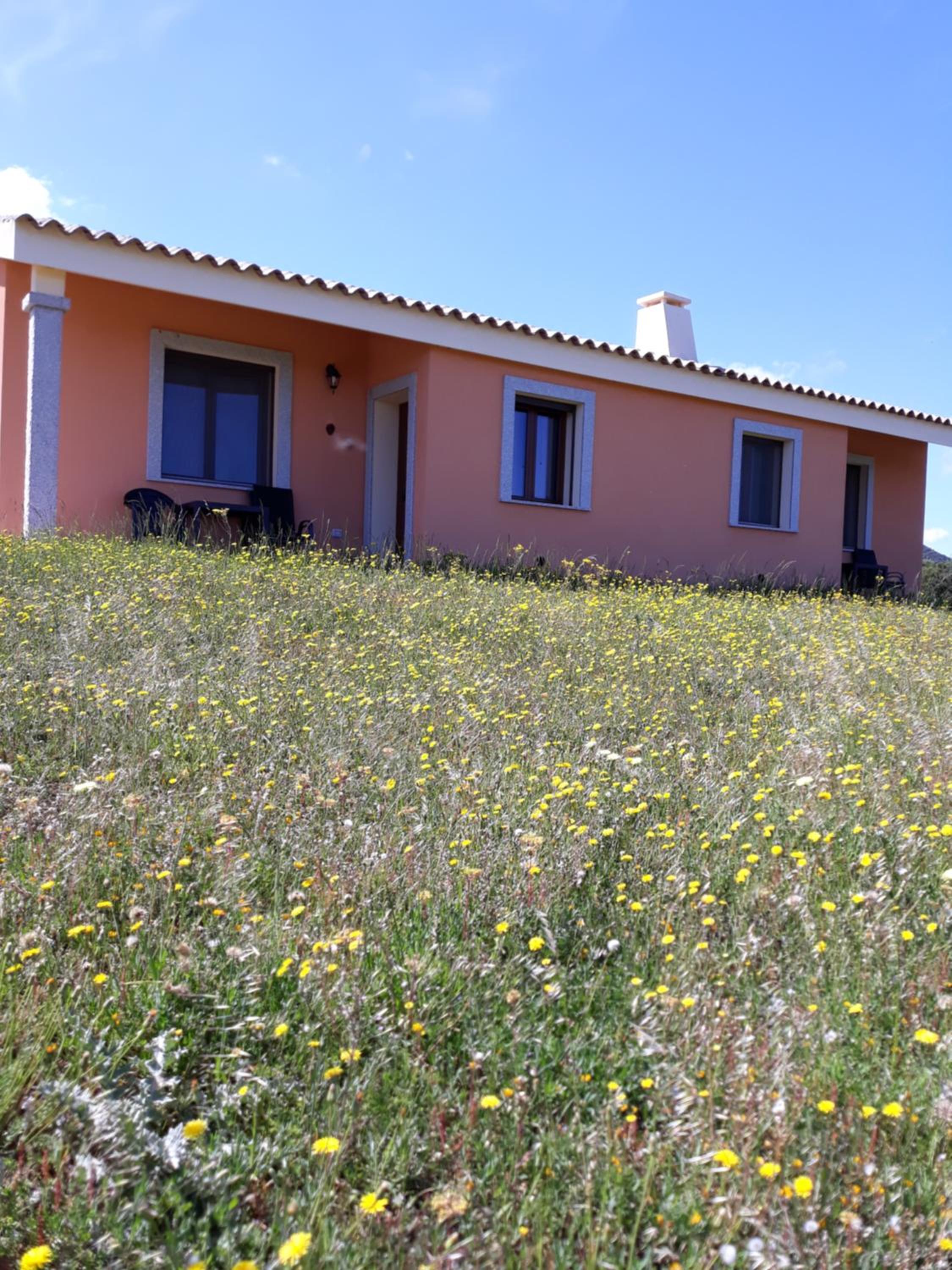 agriturismo gli olivastri, appartamento la rosa dei venti con piscina e solarium , vista mare ,climatizzatore ,wifi
