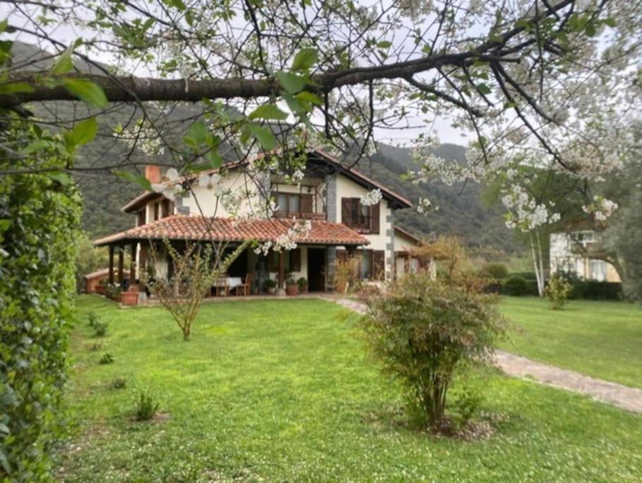 Casa El Olivo