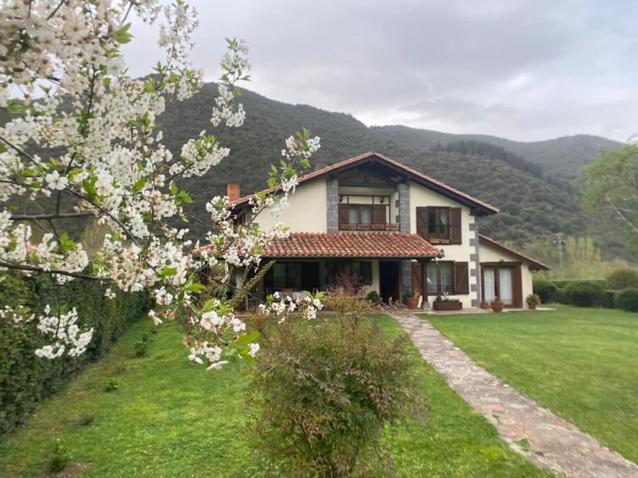 Casa El Olivo