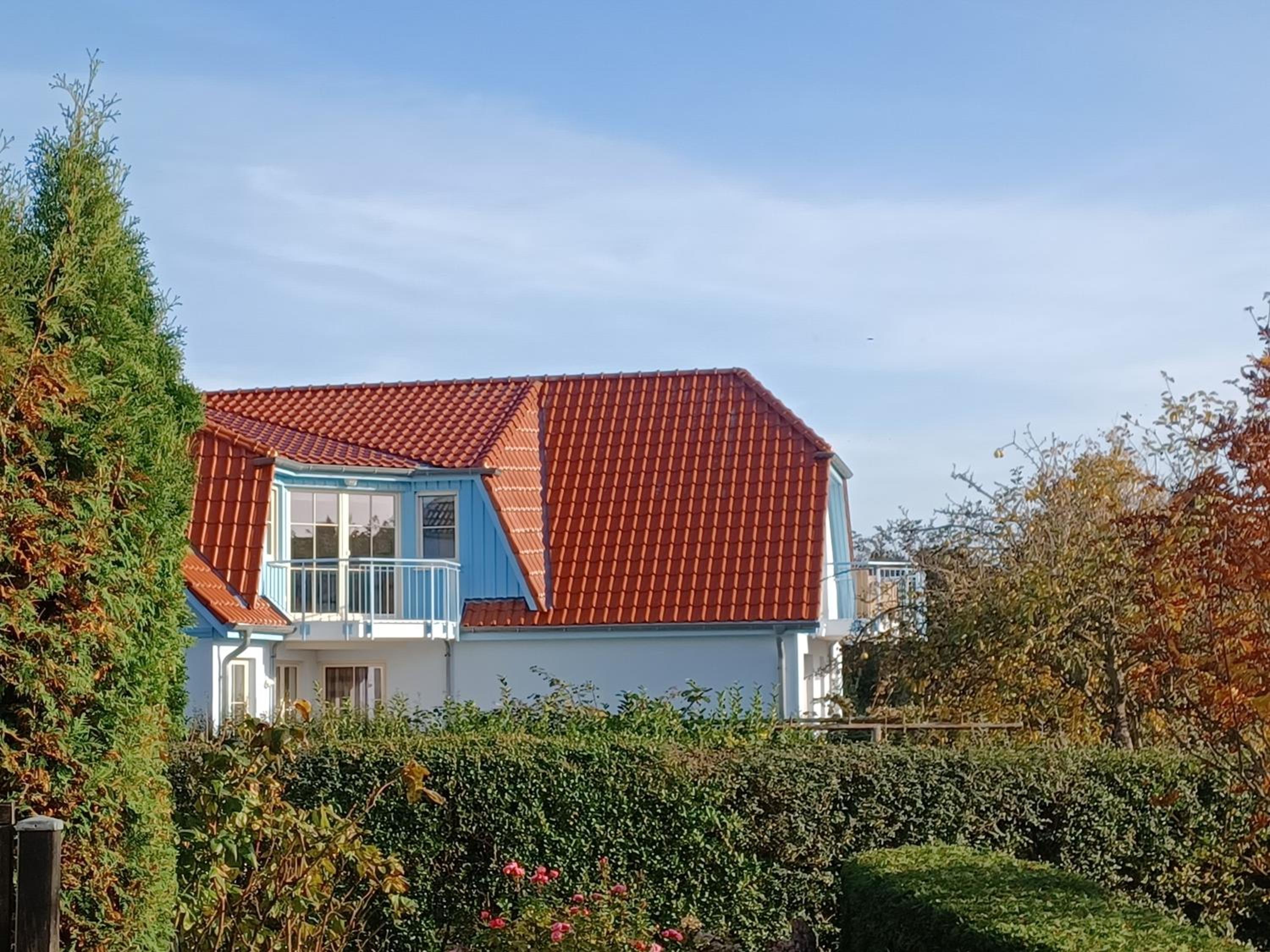 An den Boddenwiesen II