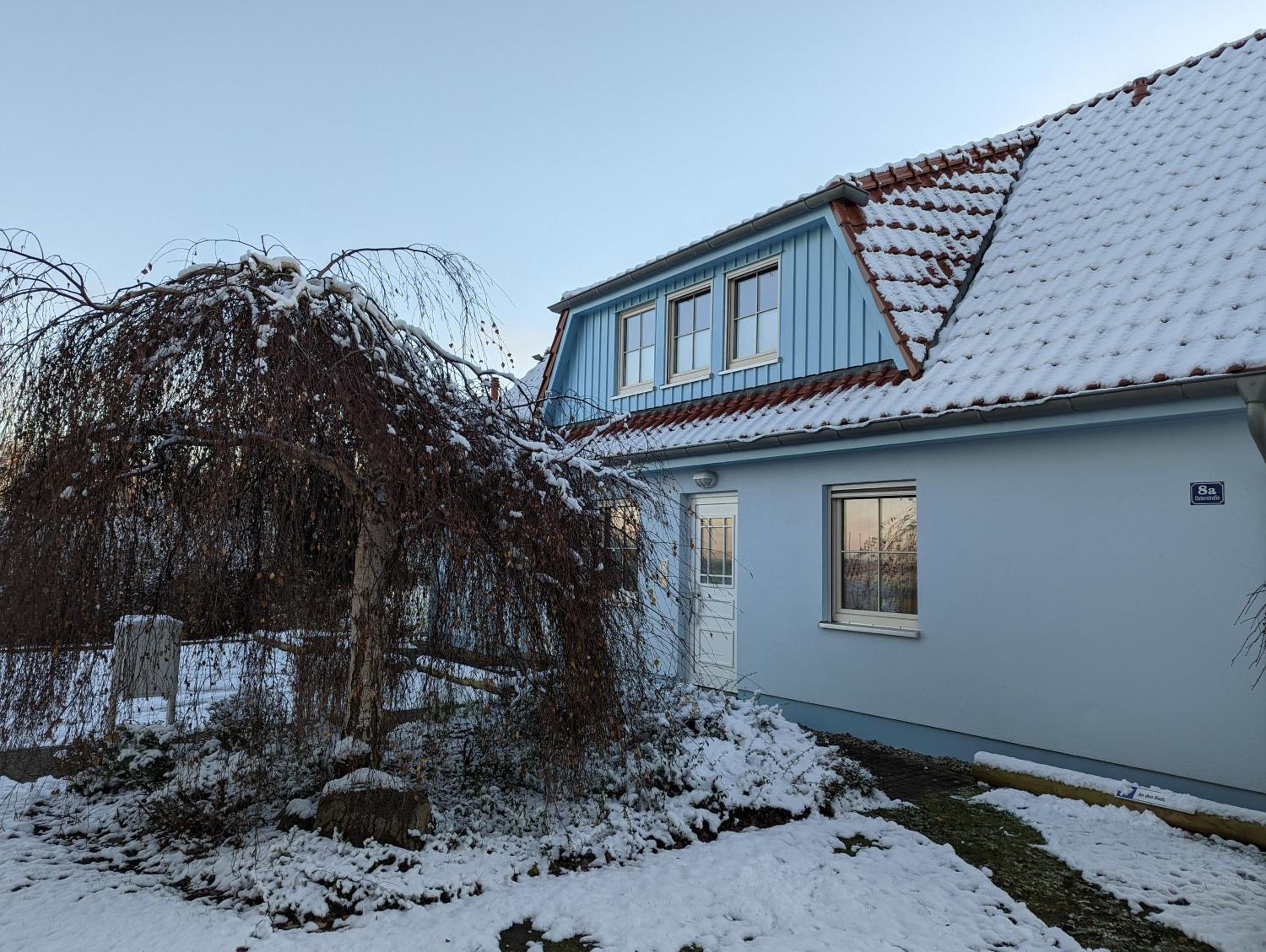 An den Boddenwiesen II
