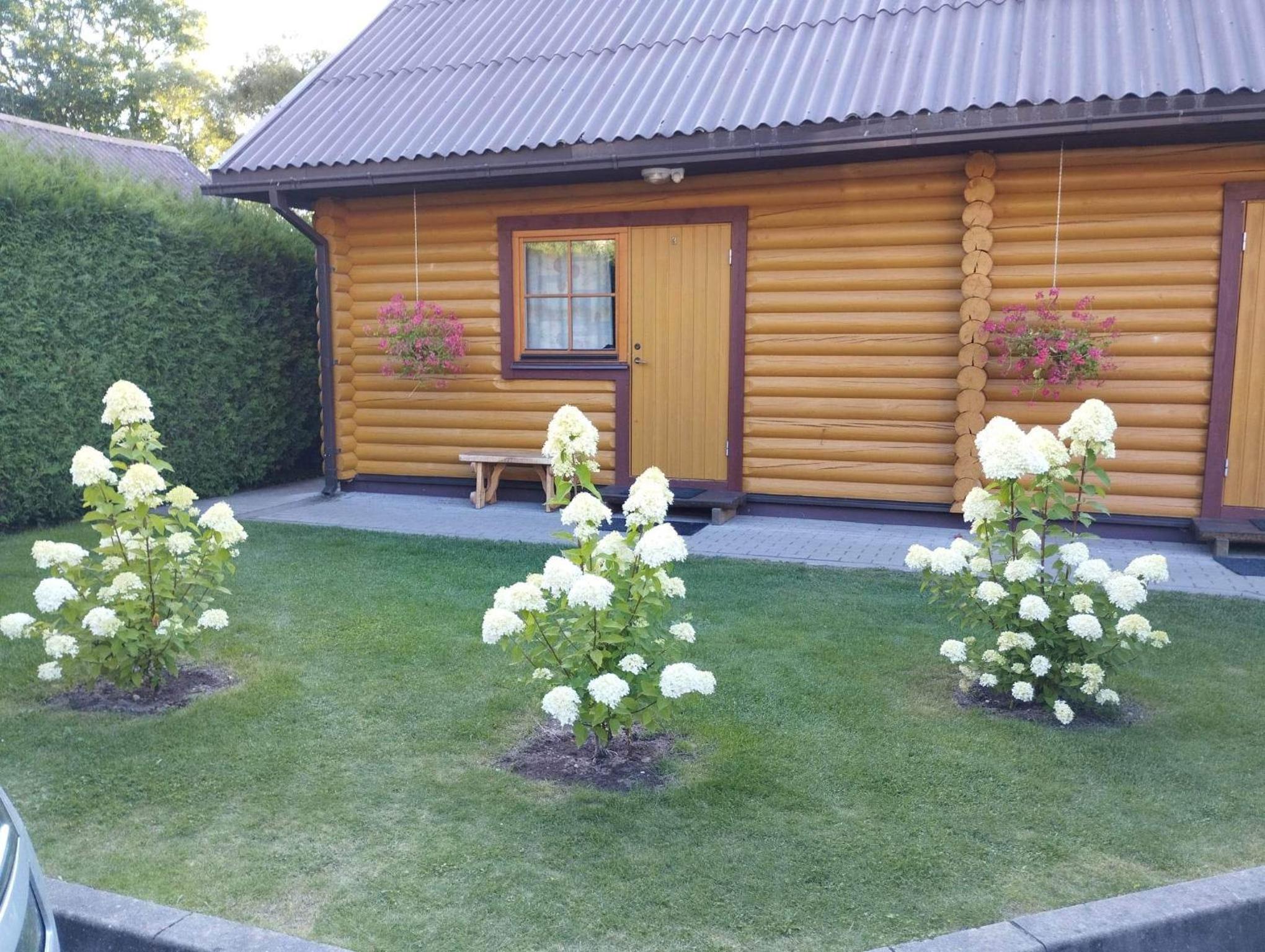 Photo 25