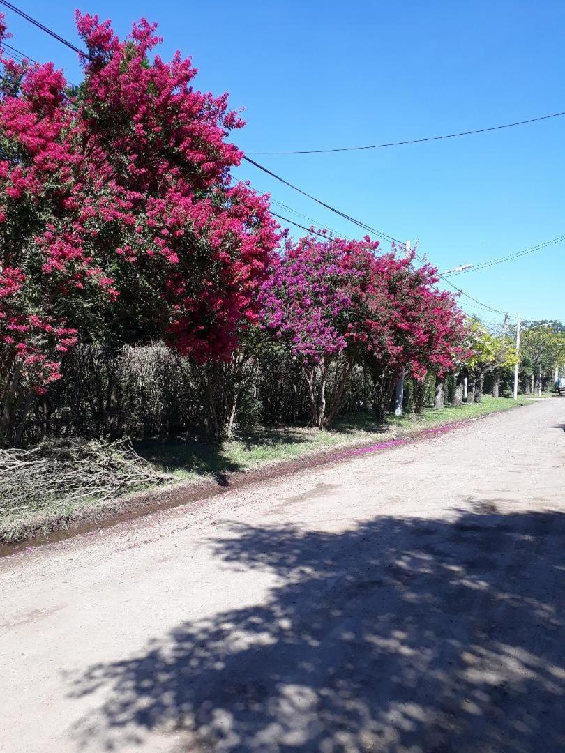 Jomito