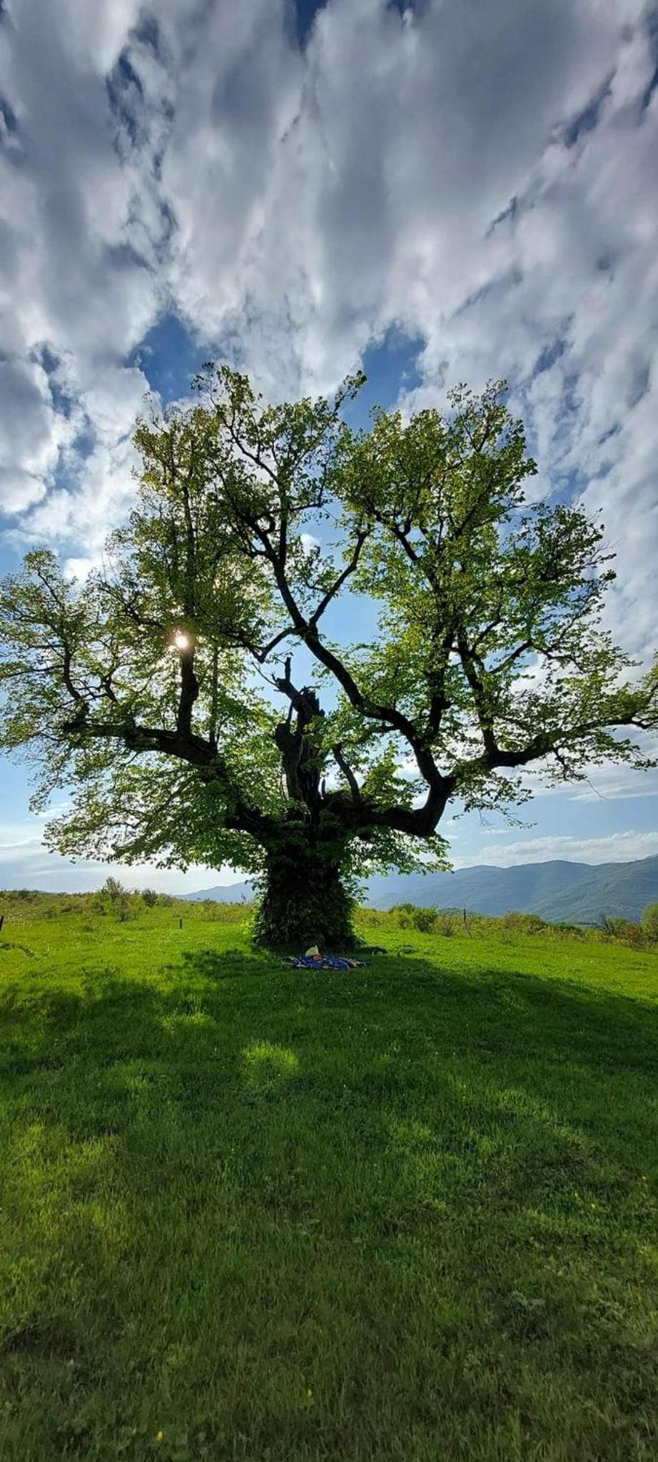 Photo 20