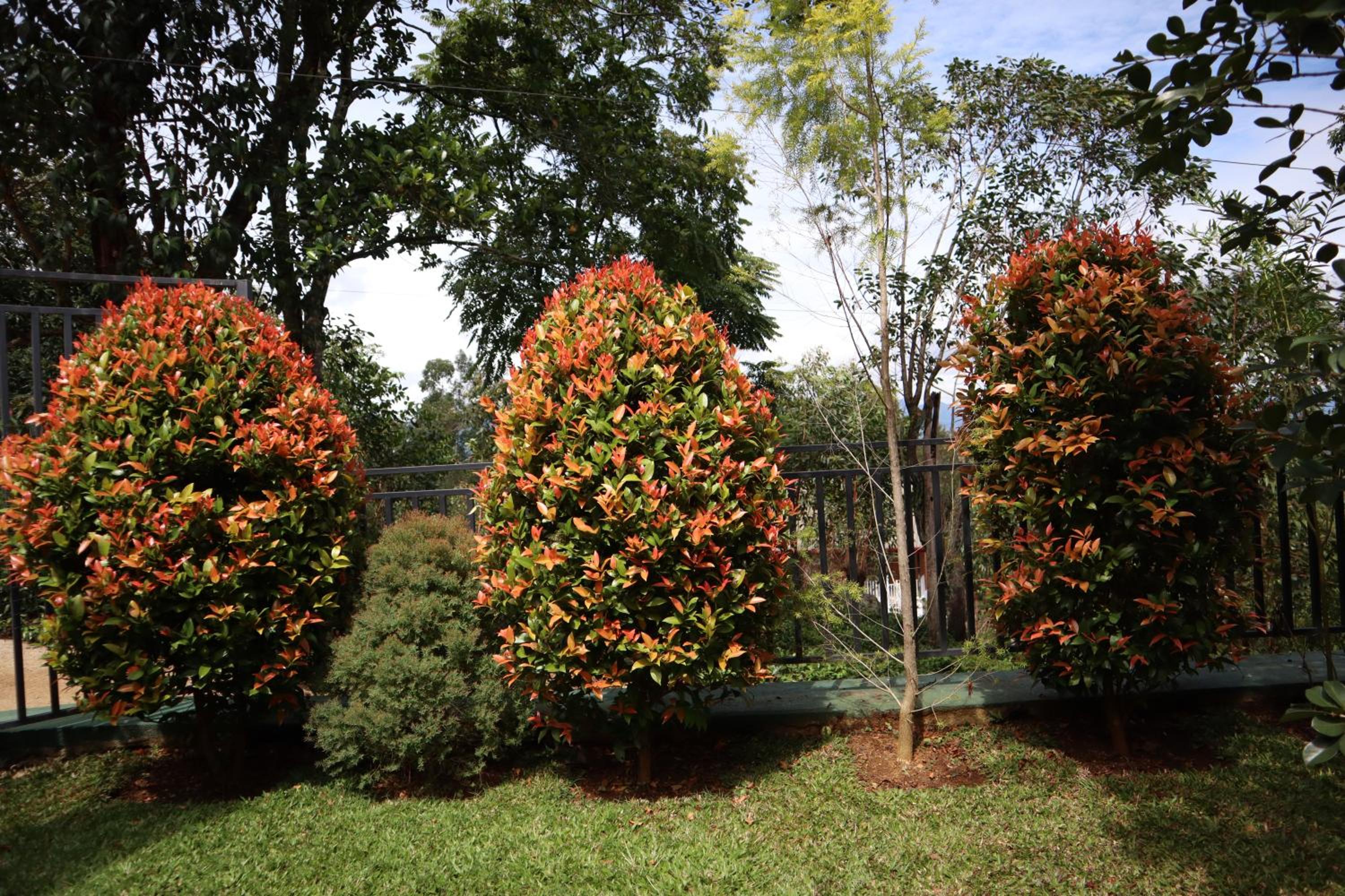 Photo 40