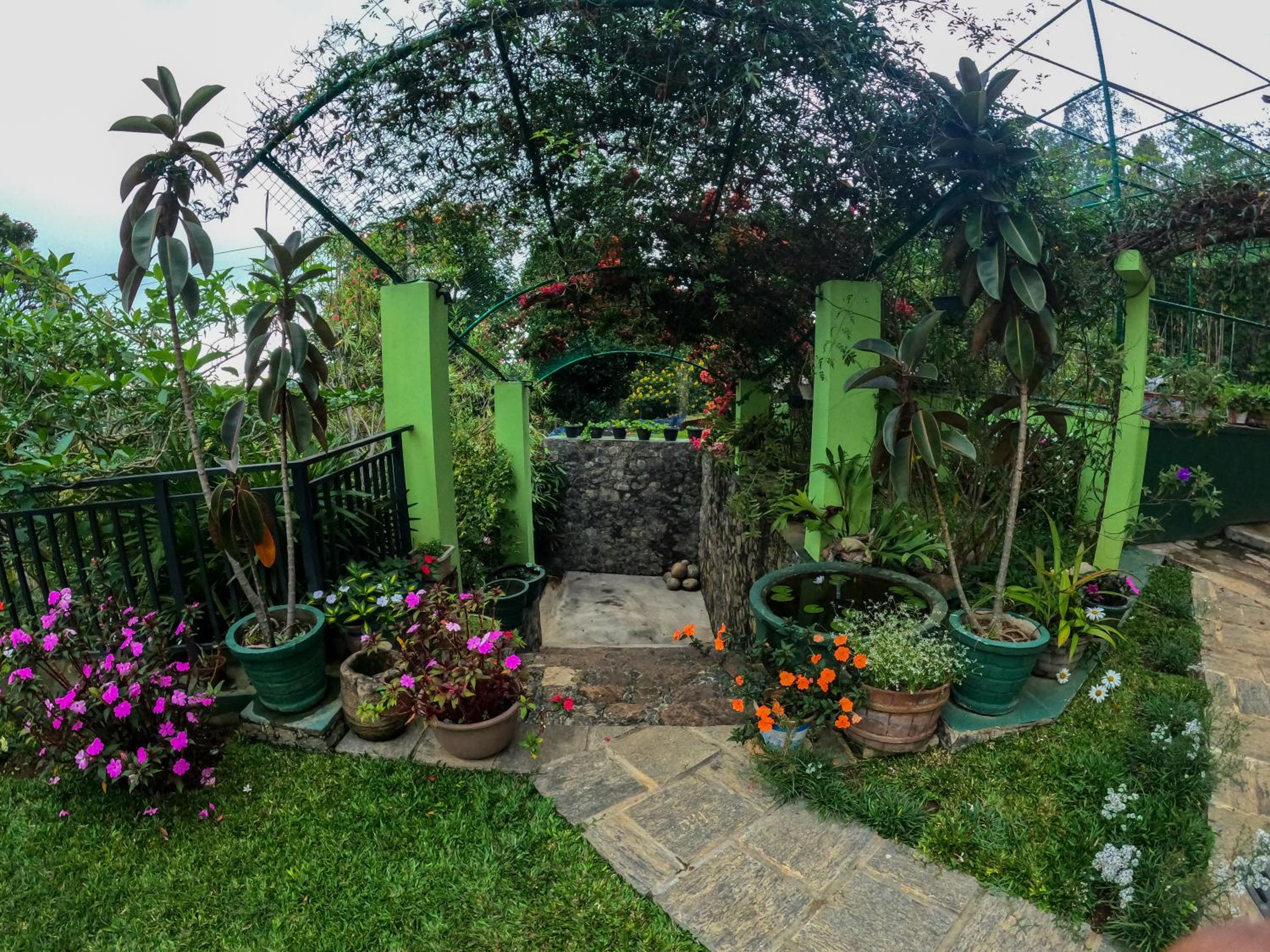 Photo 15