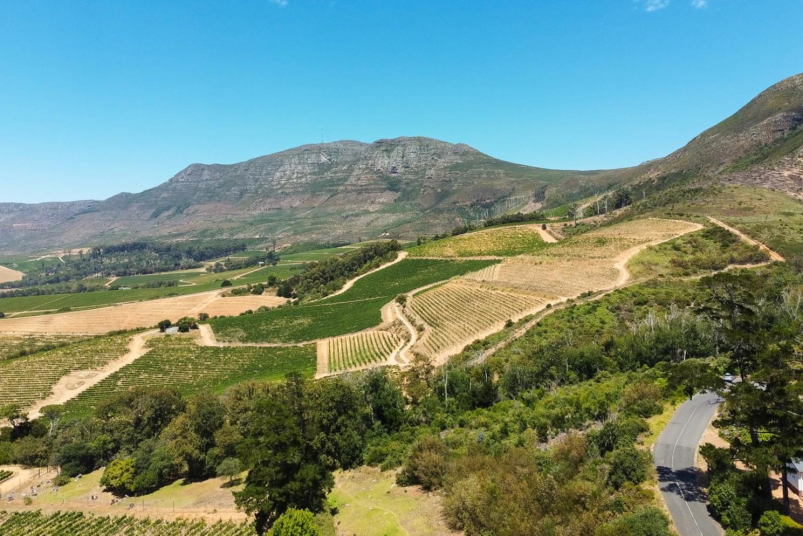 Constantia Vista Guest House