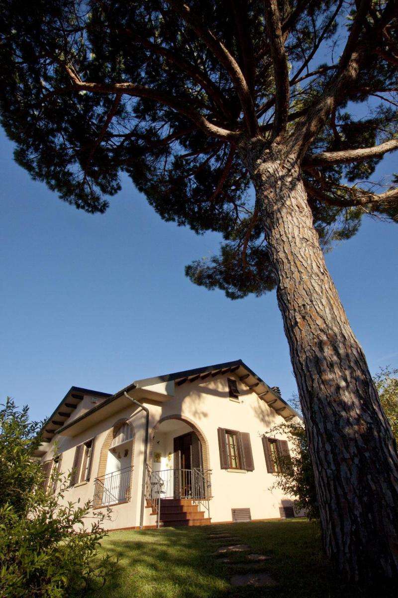 Campo del Rosario