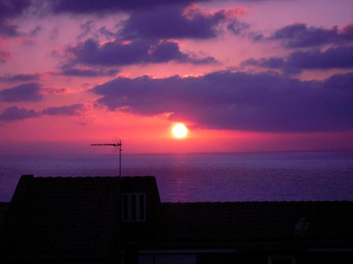 Photo 50