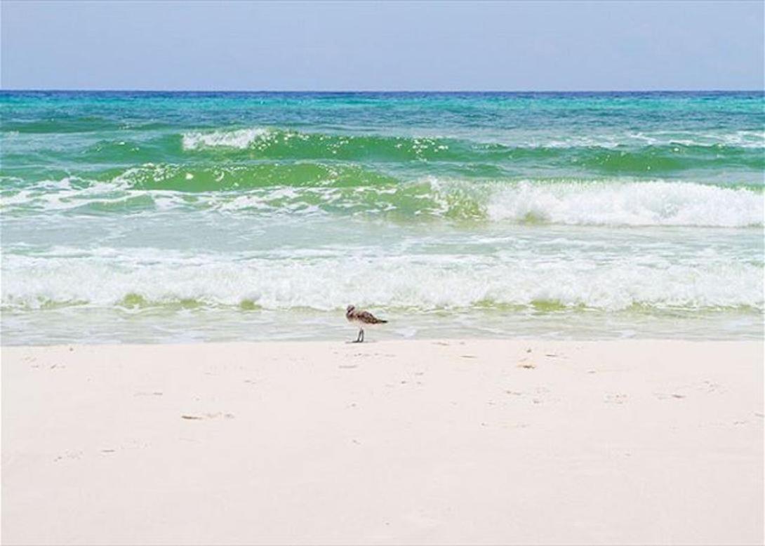Photo 42