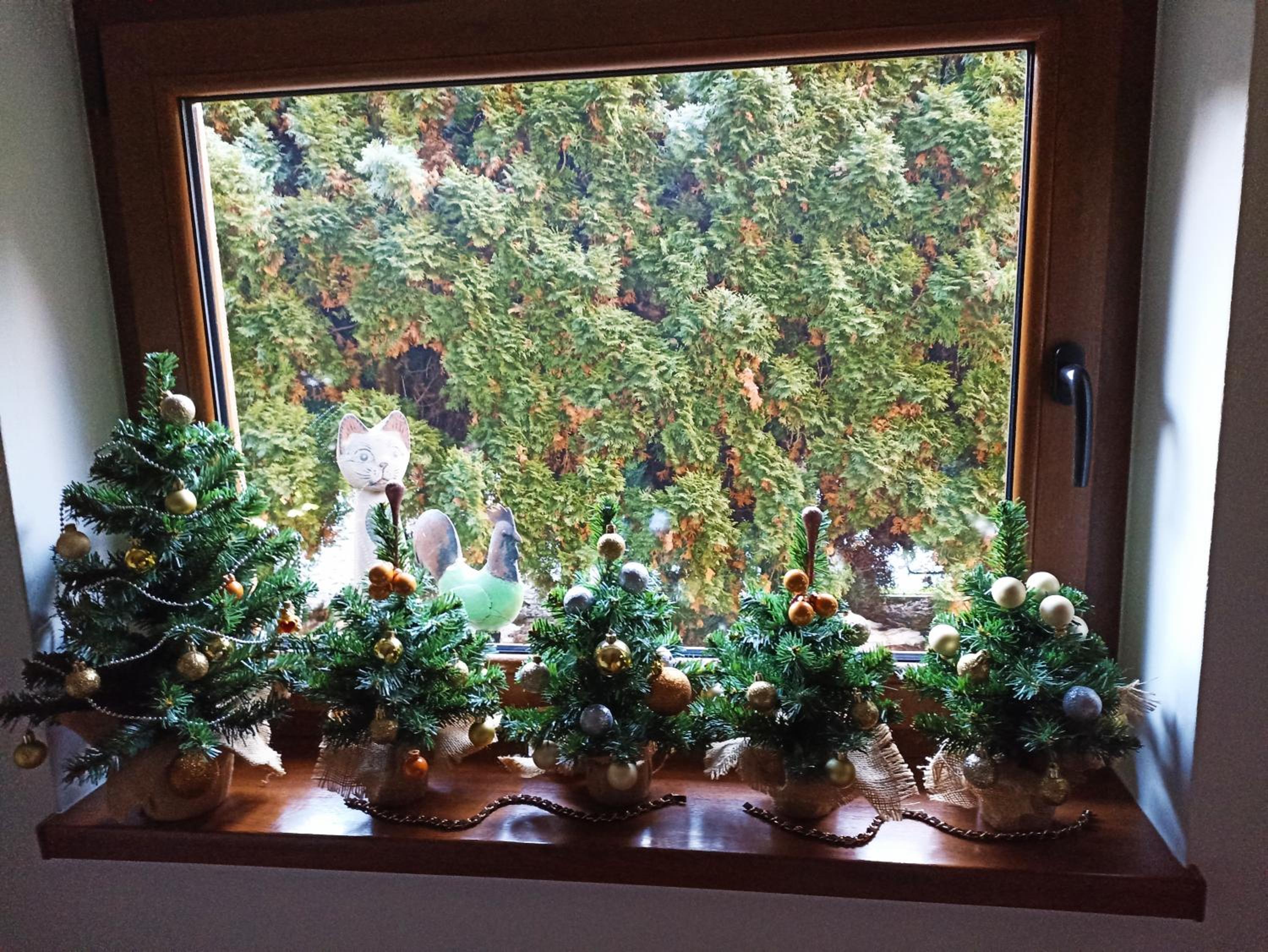 Szarotka Pieninska - Property Image 20