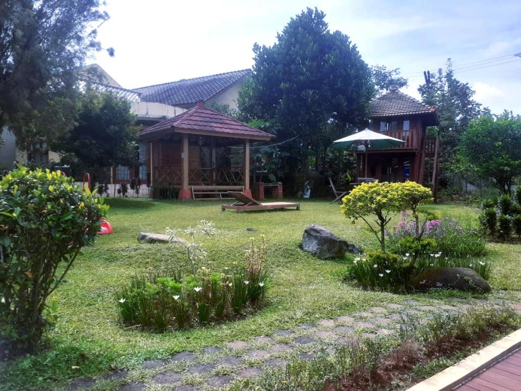Photo 18