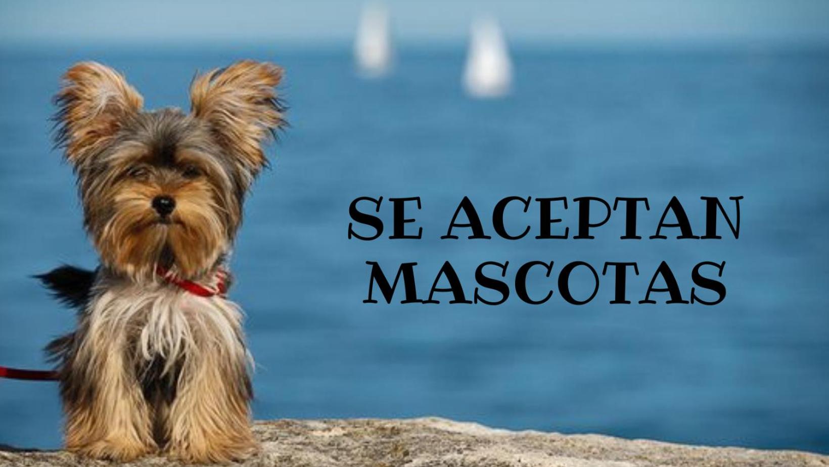 Umi del sur