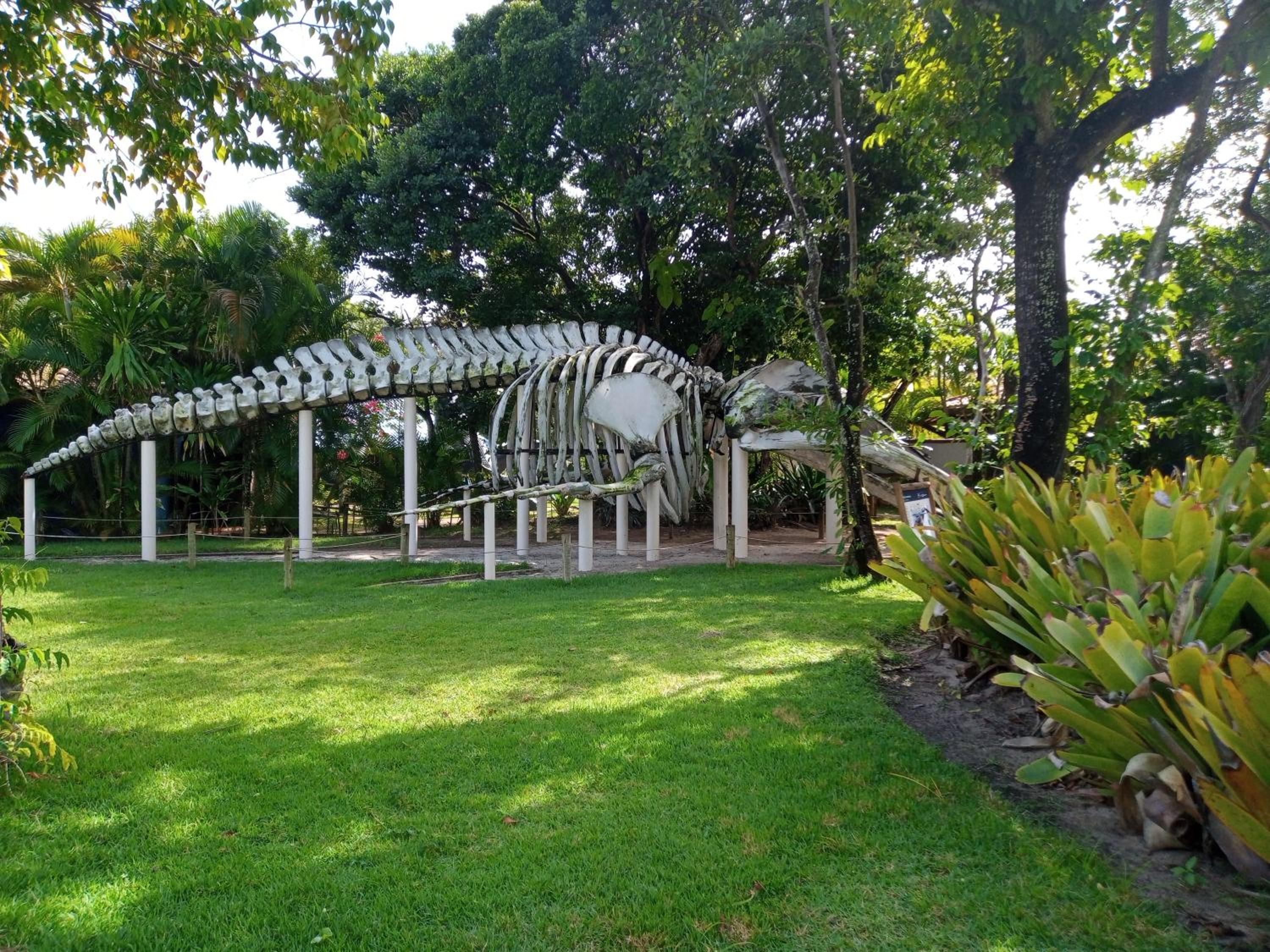 Apartamento Praia do Forte