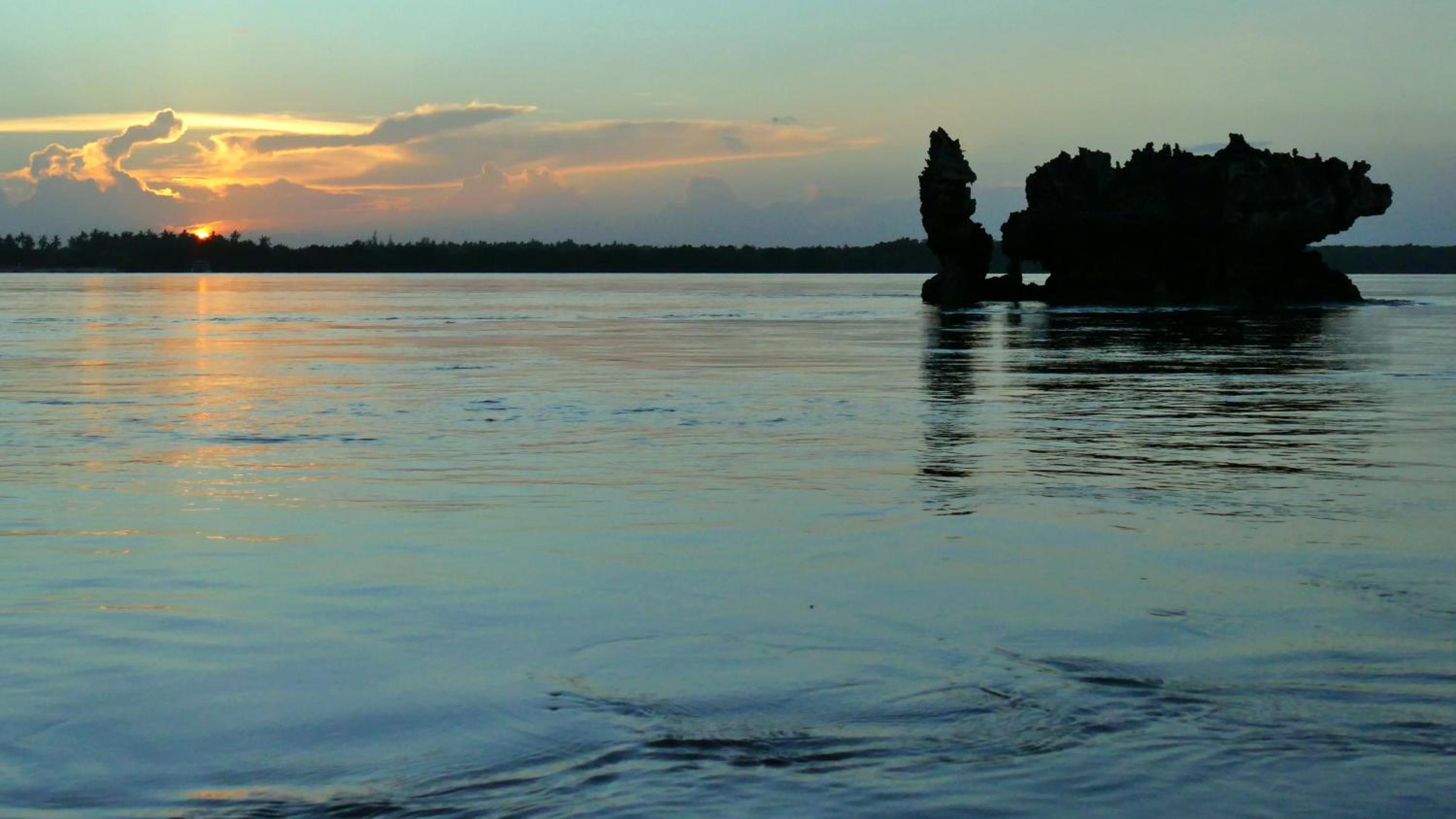 Photo 42