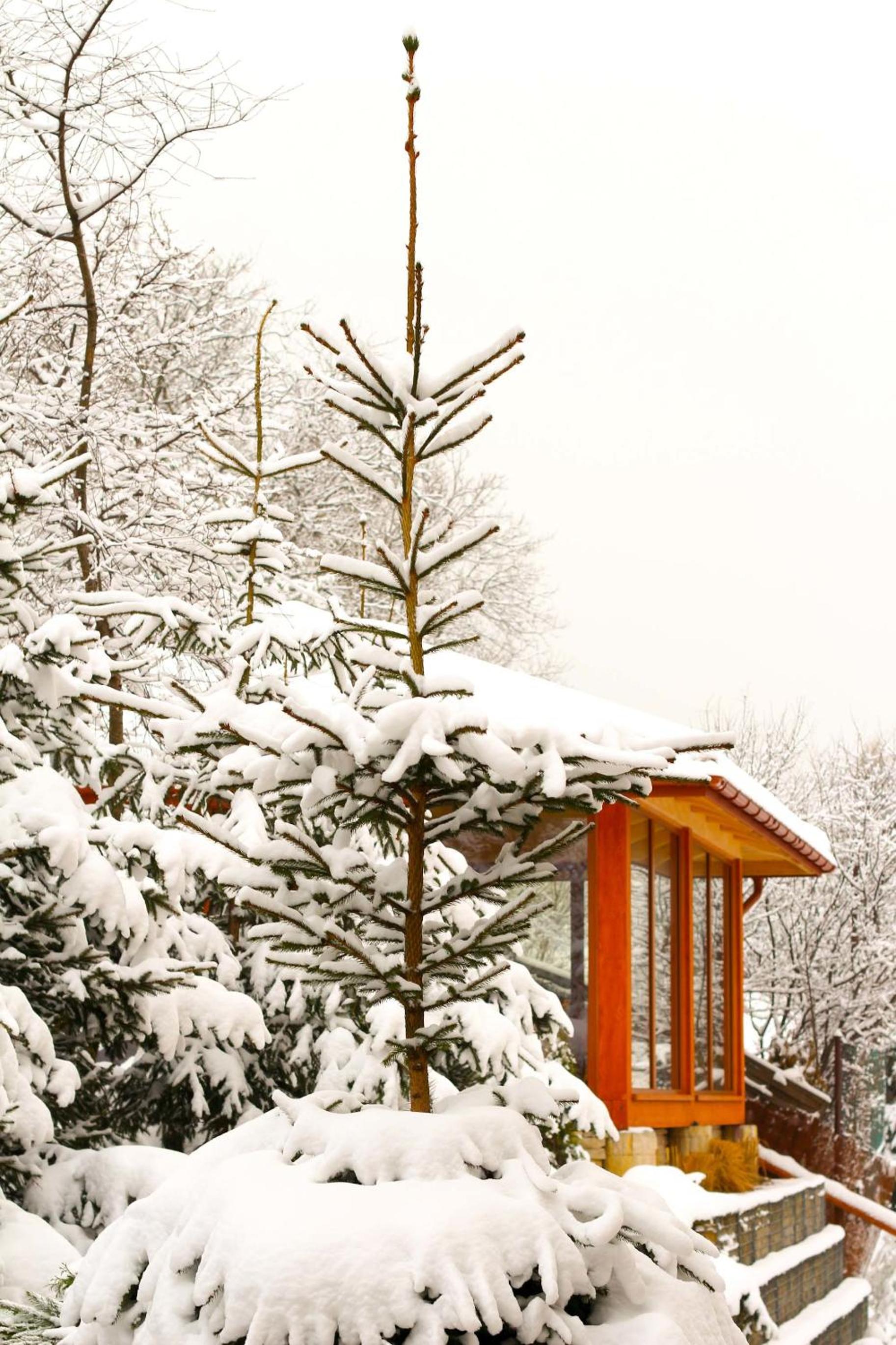 Janda Resort & Conference