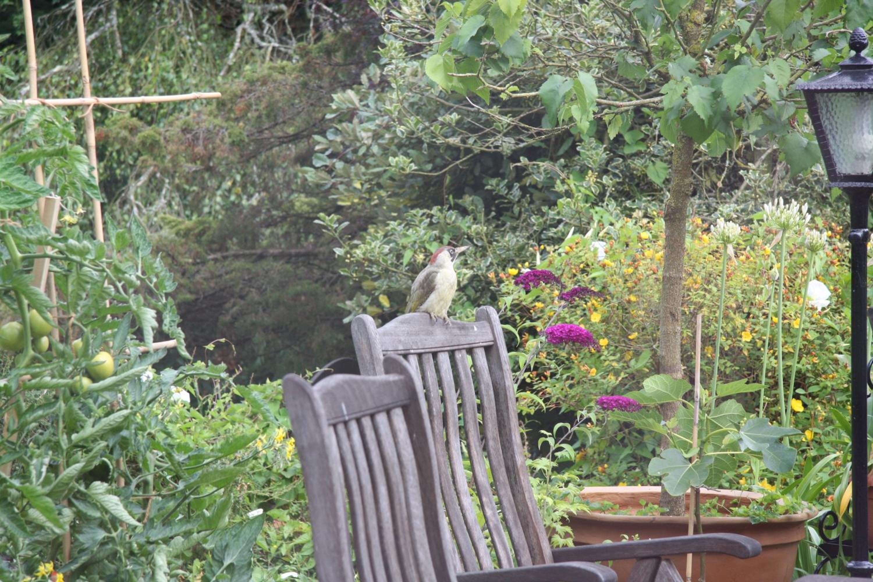 White Lodge B&B