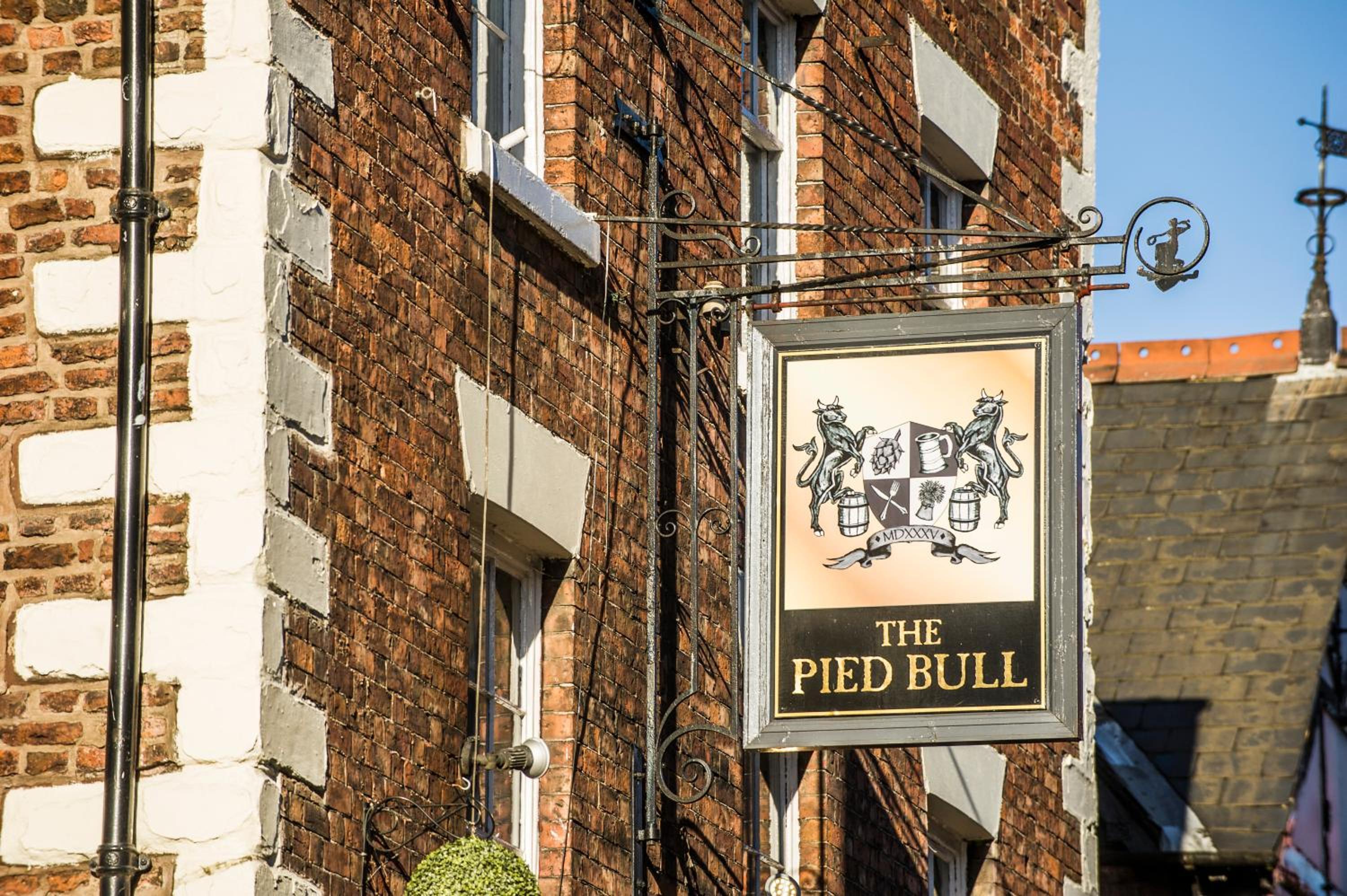 The Pied Bull, photo 88