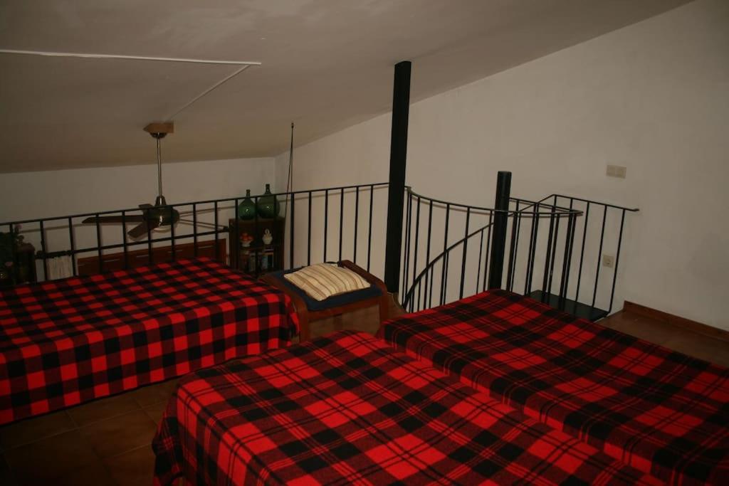Apartaments Can Niell