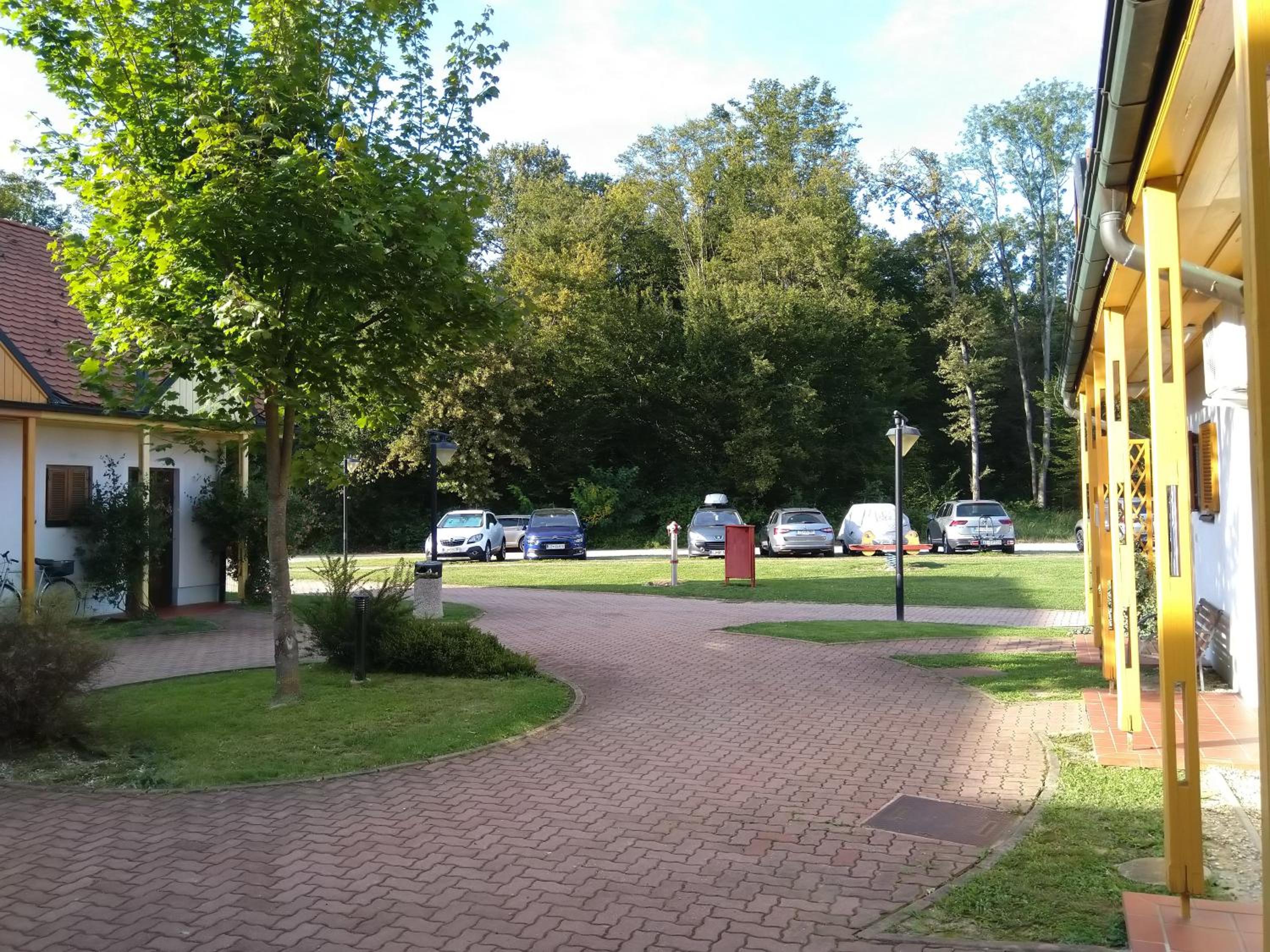 Photo 24