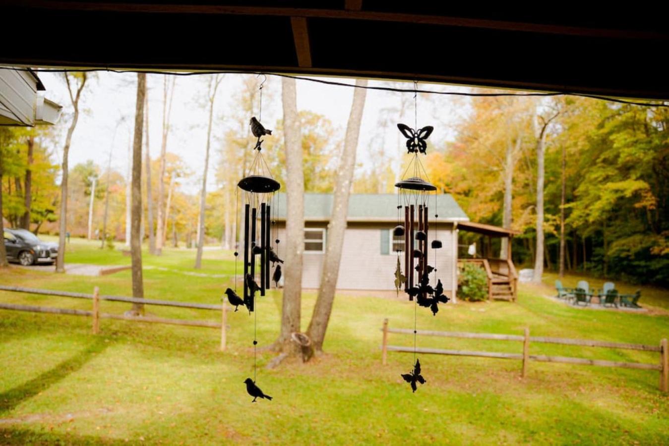 Cozy Cottage near Cook Forest Park, ANF view 2