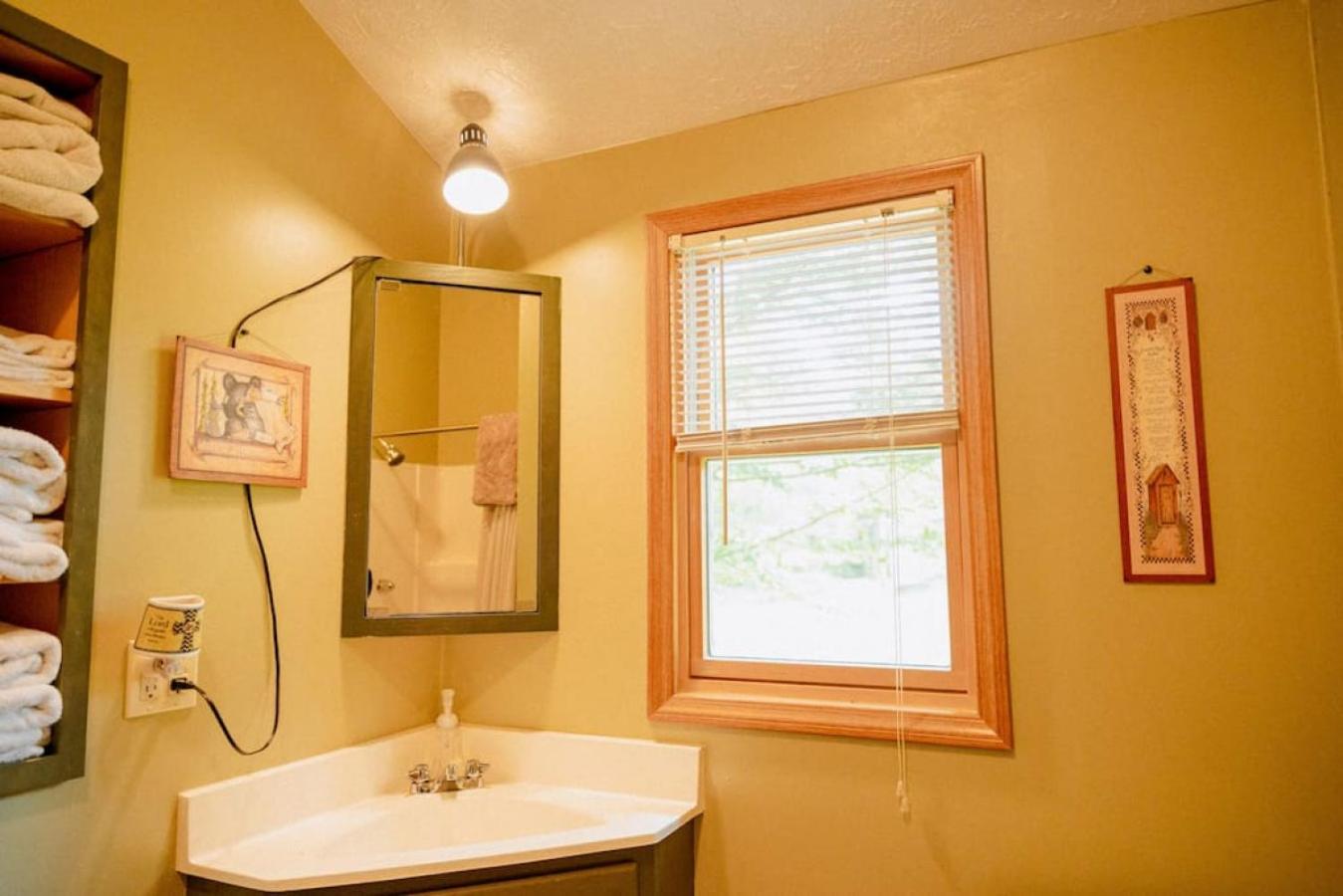 Cozy Cottage near Cook Forest Park, ANF view 4