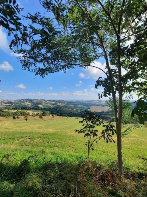 Country House Marche Nascoste view 3