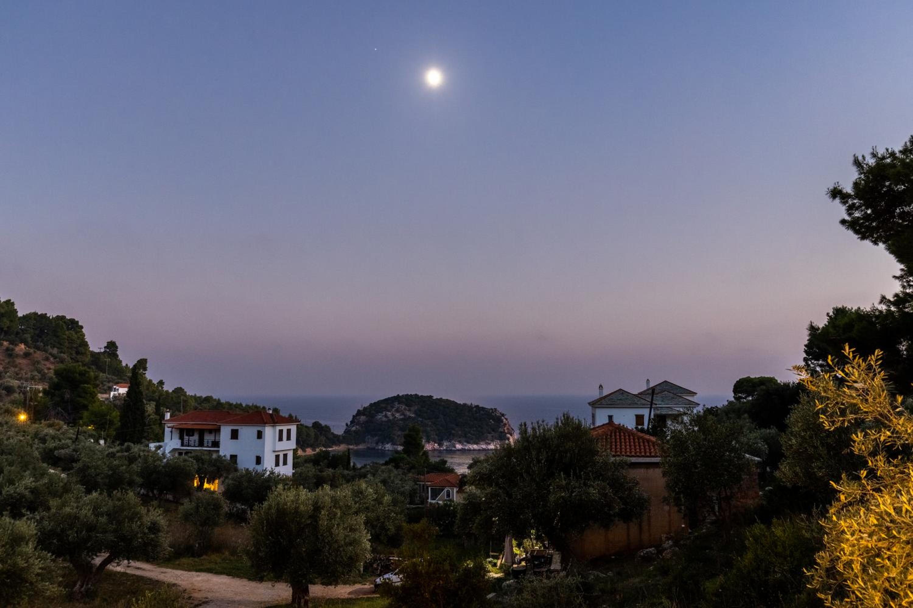 Photo 26