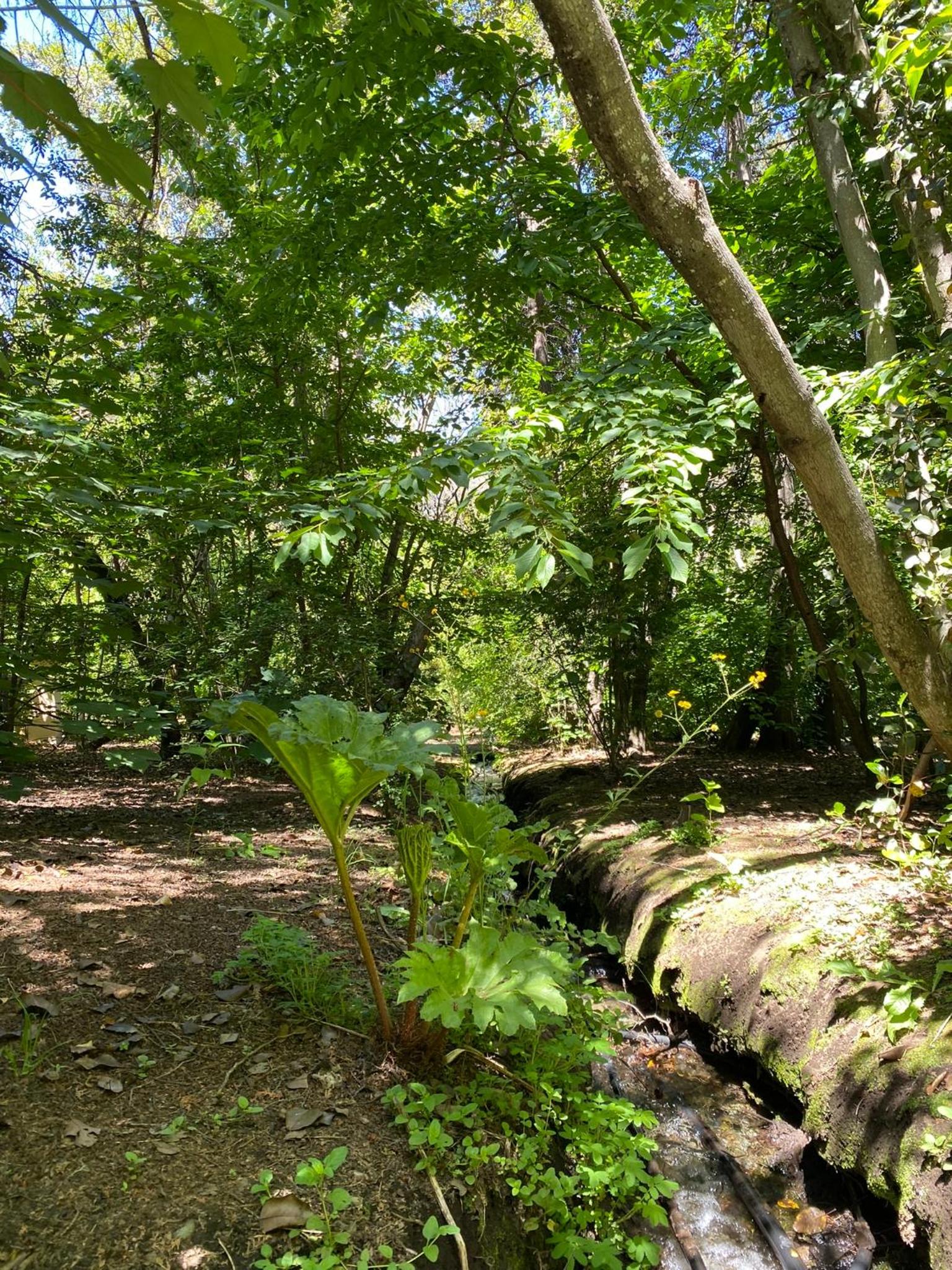 Altos del Sur Cabañas de Montaña