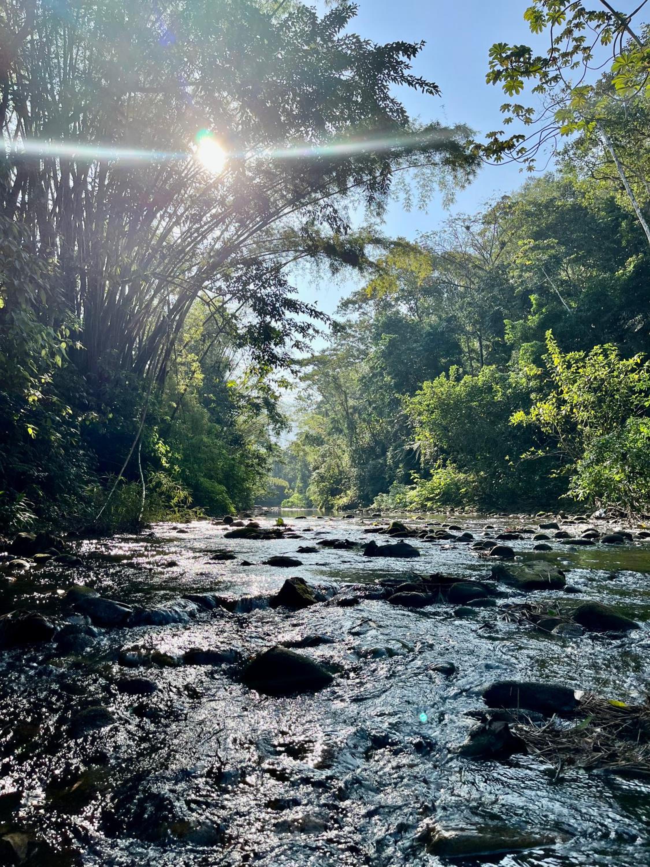 Linda Casa de Condomínio em Ubatuba