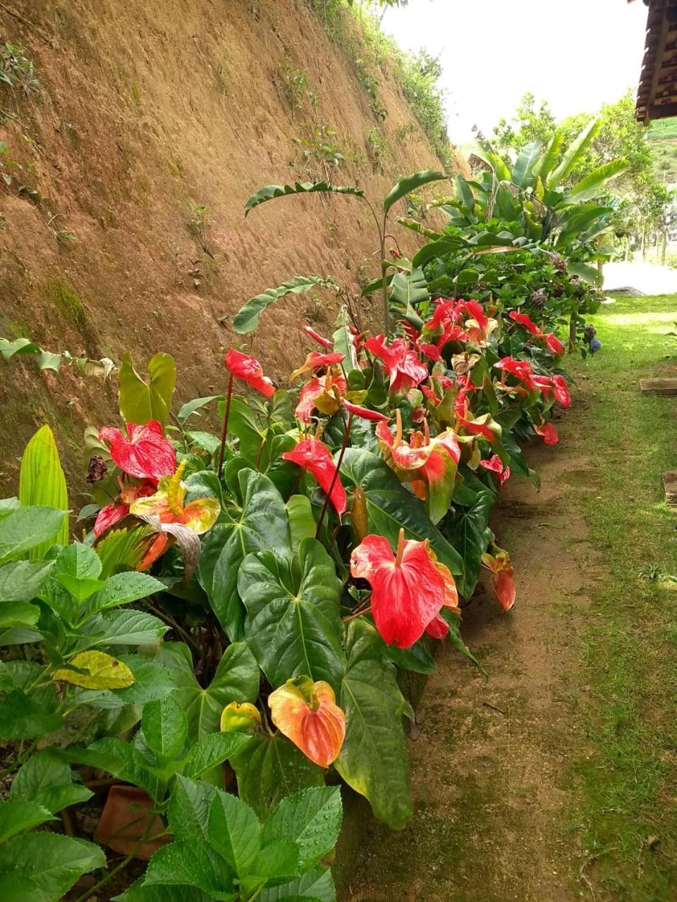 Recanto dos Amigos
