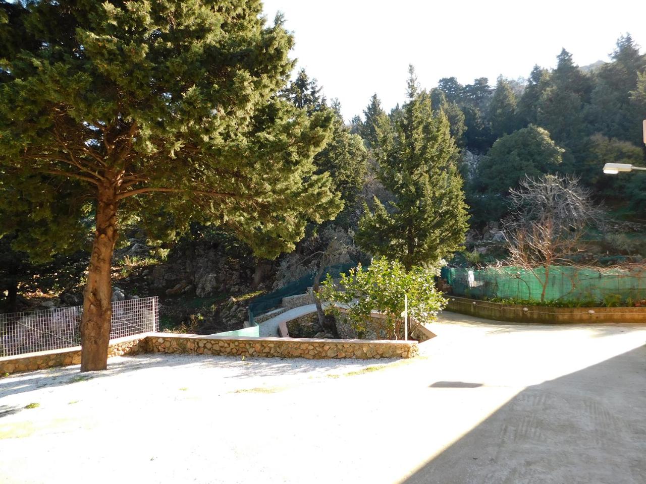 Photo 47