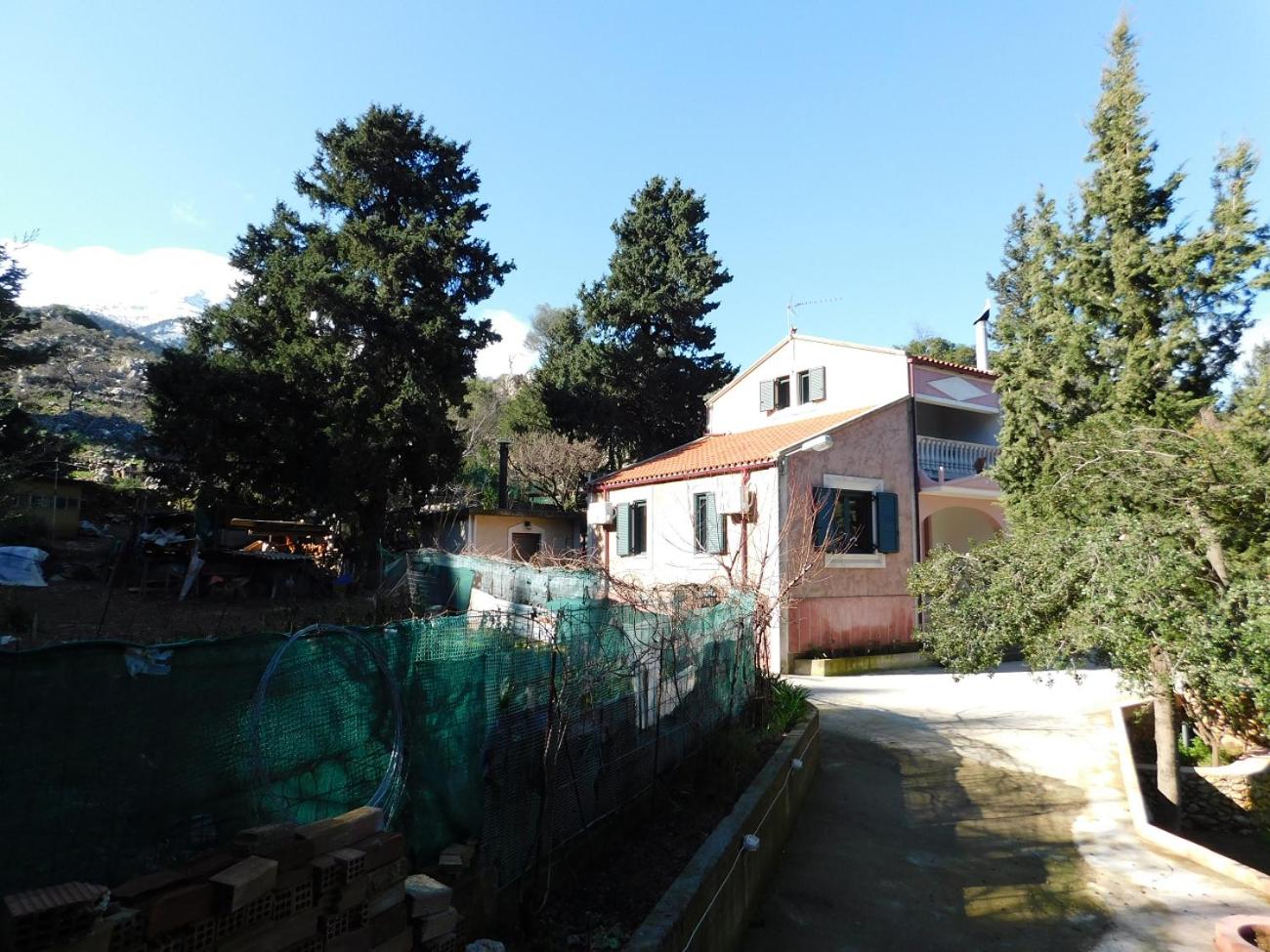Photo 45