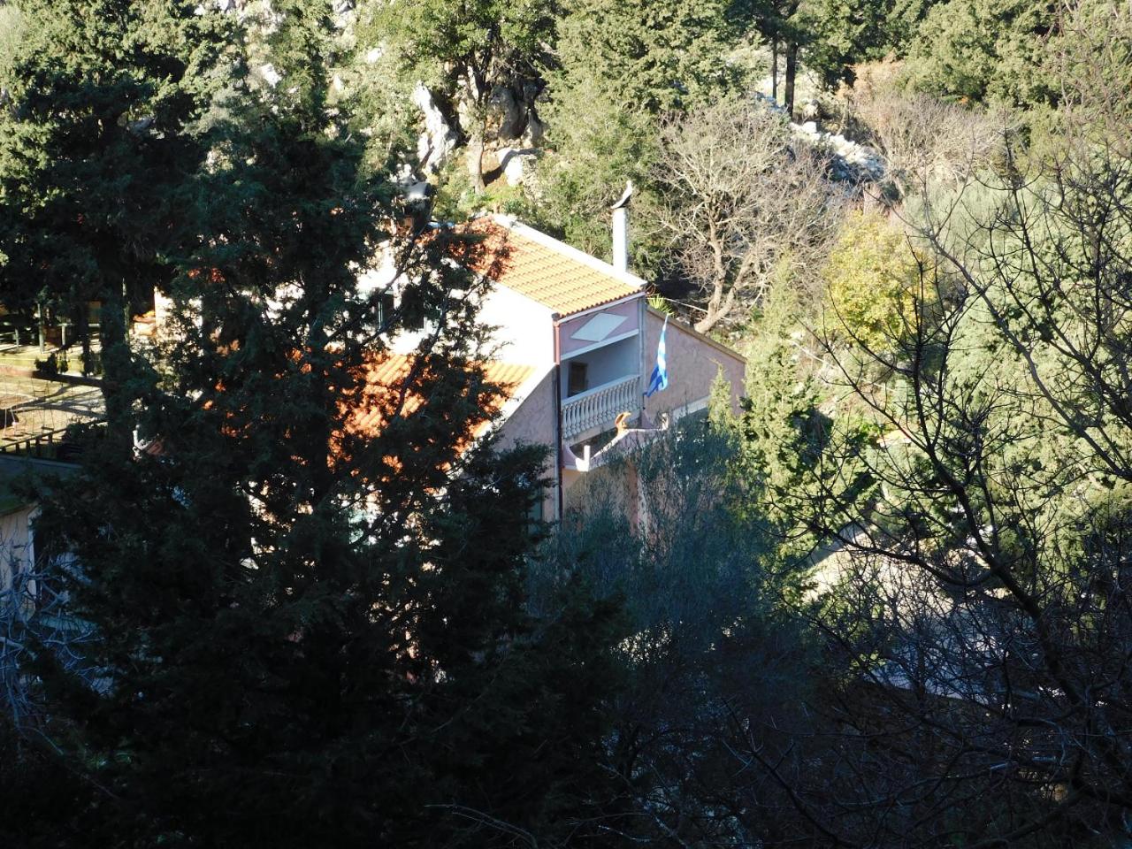 Photo 48