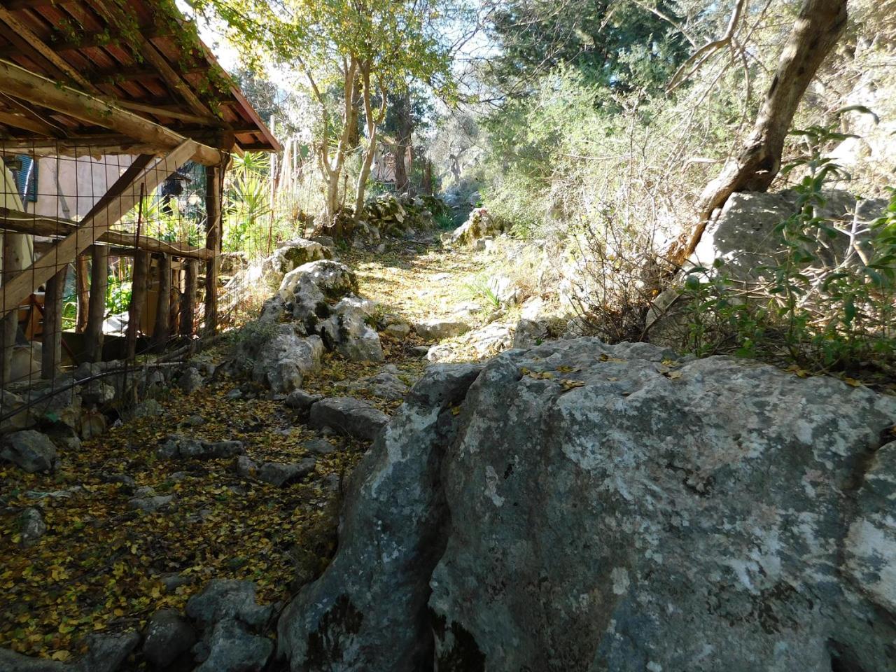 Photo 57