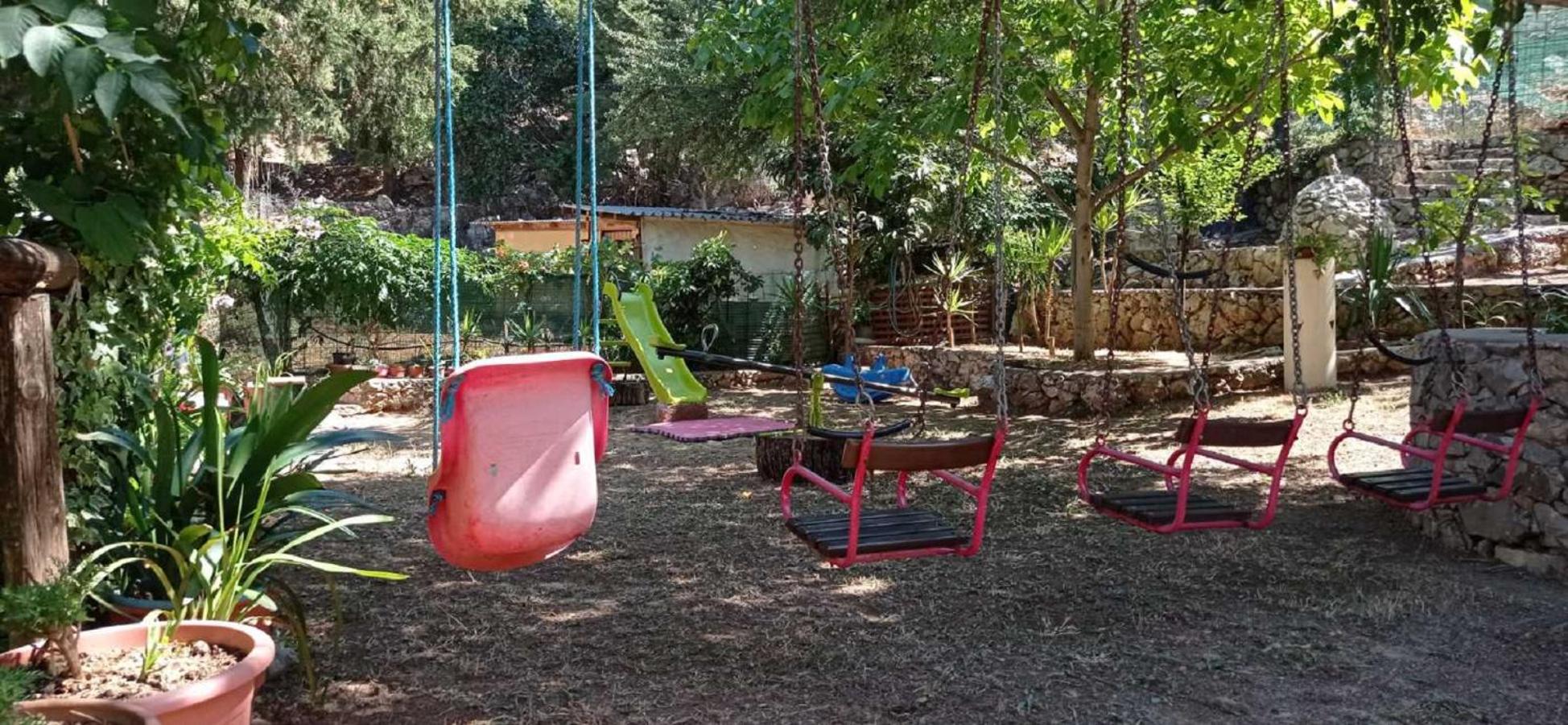 Photo 17